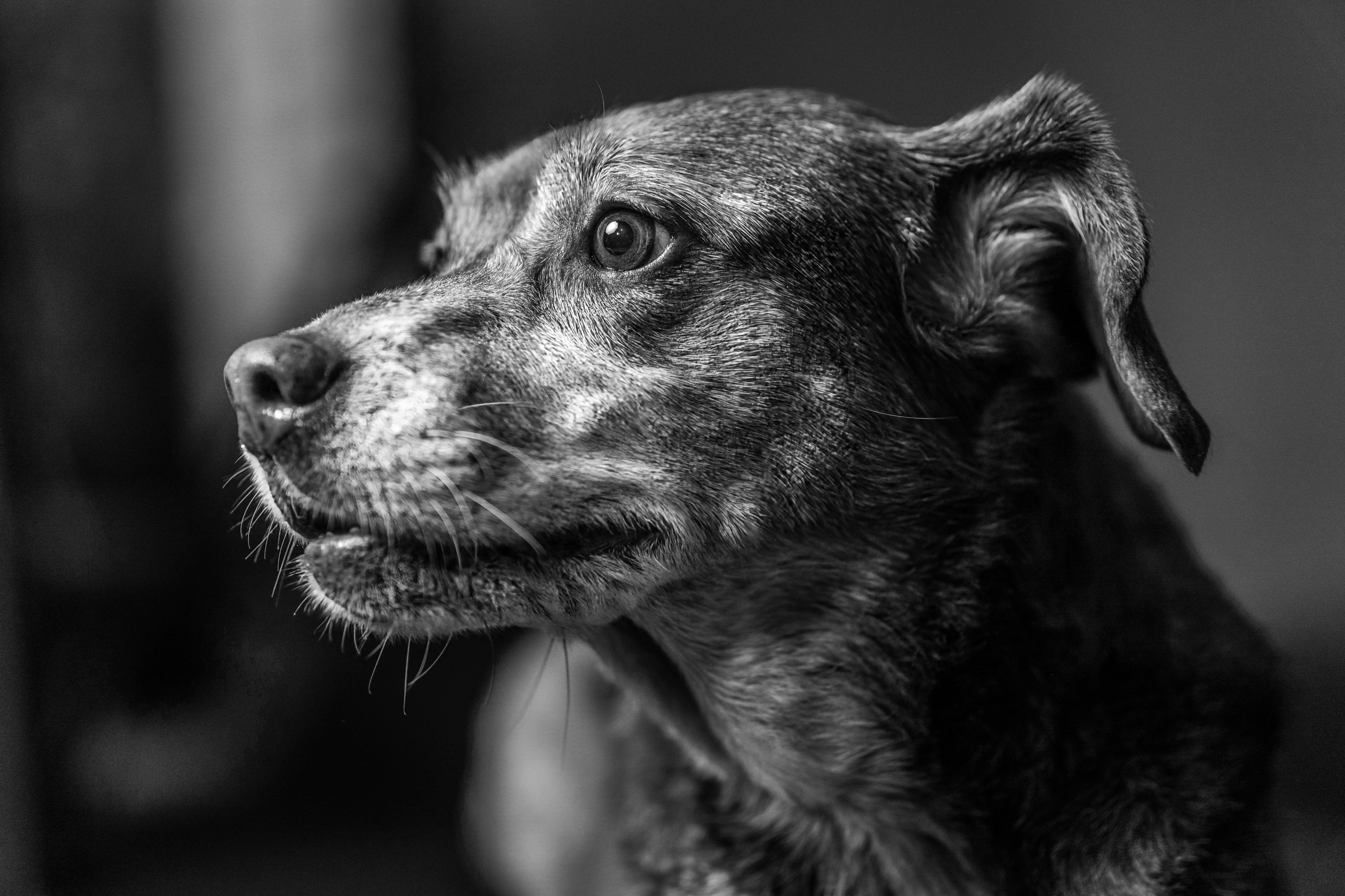 Photo by mharrisonphotography