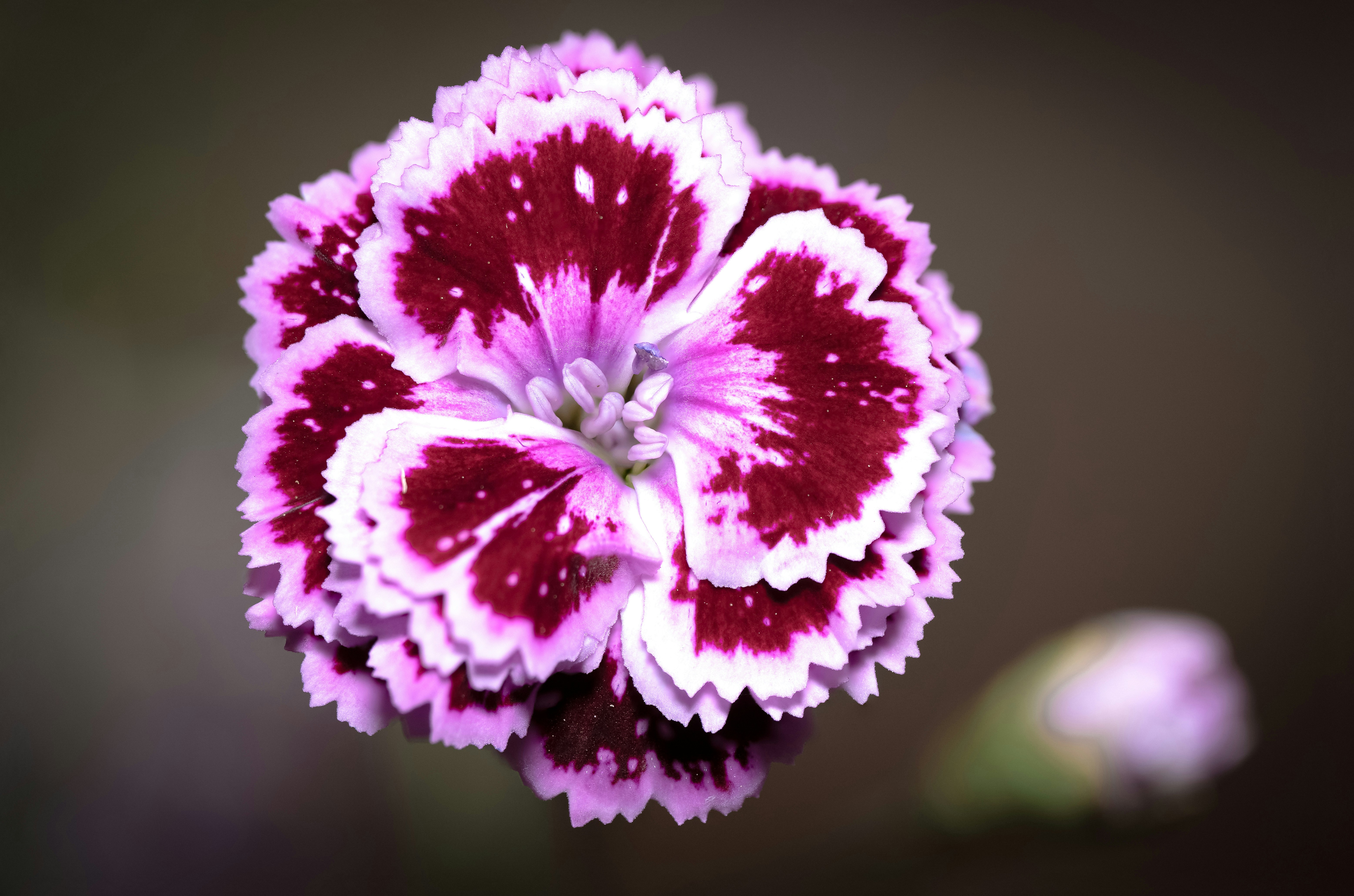 Photo by mharrisonphotography