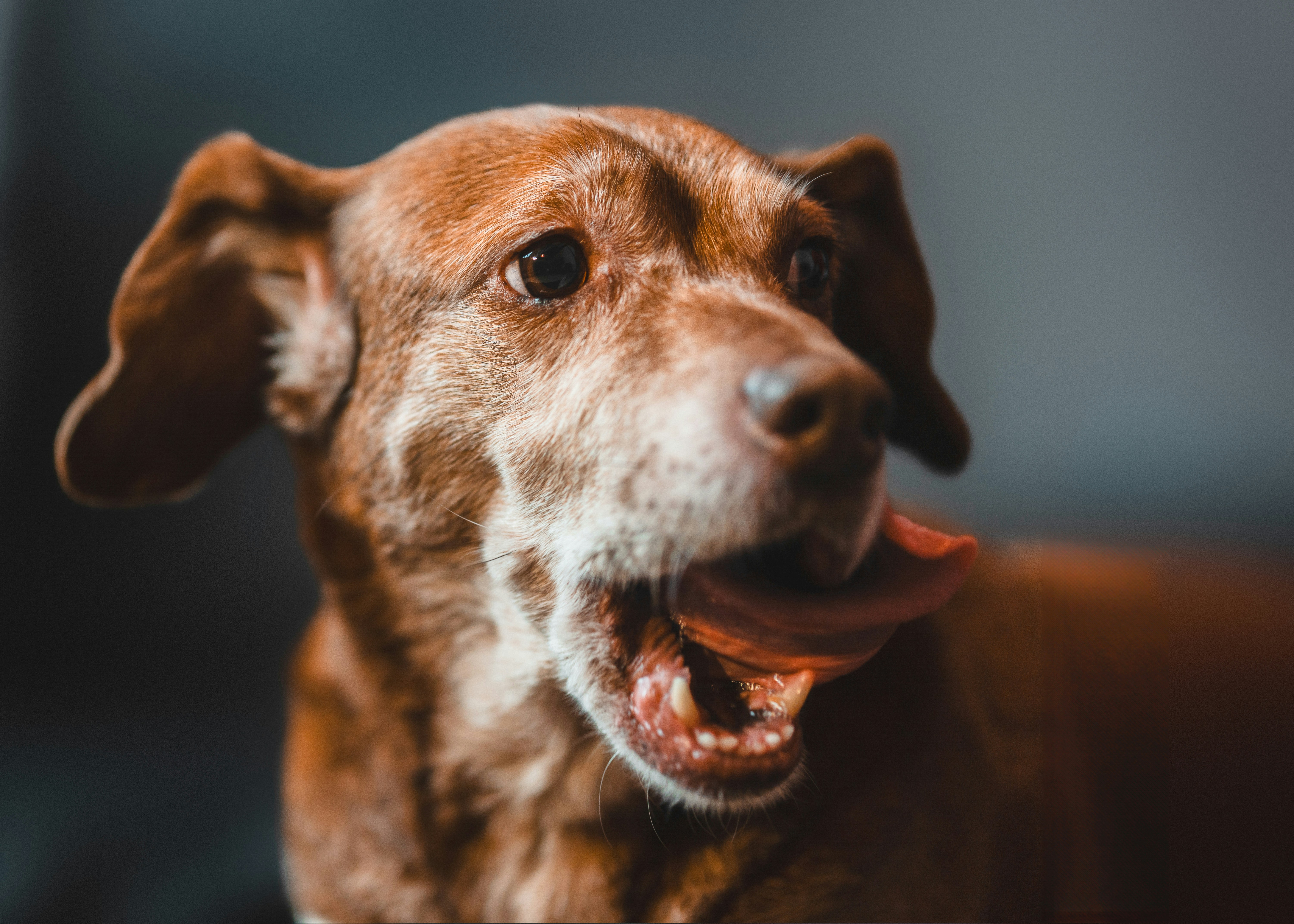 Photo by mharrisonphotography