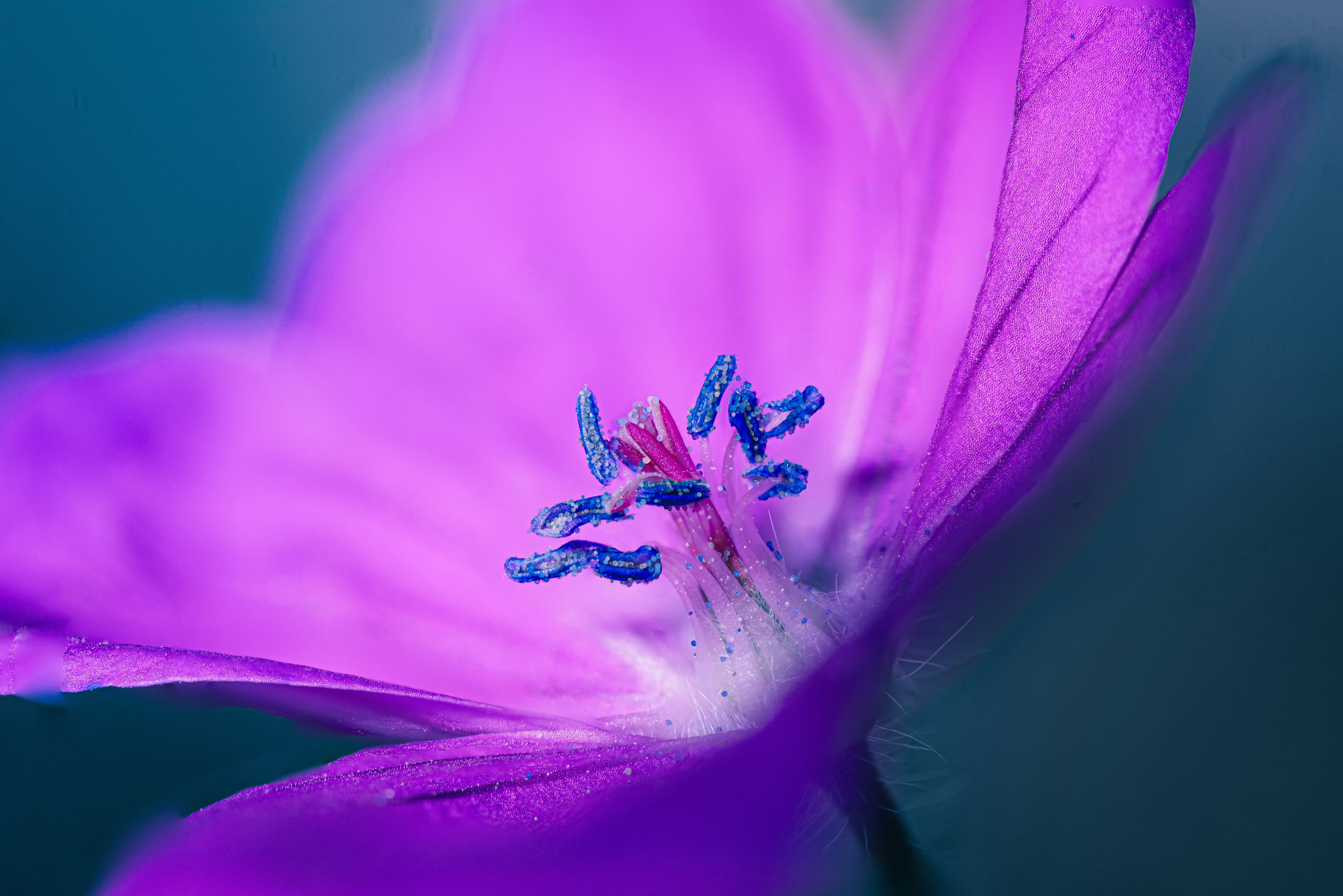 Photo by mharrisonphotography