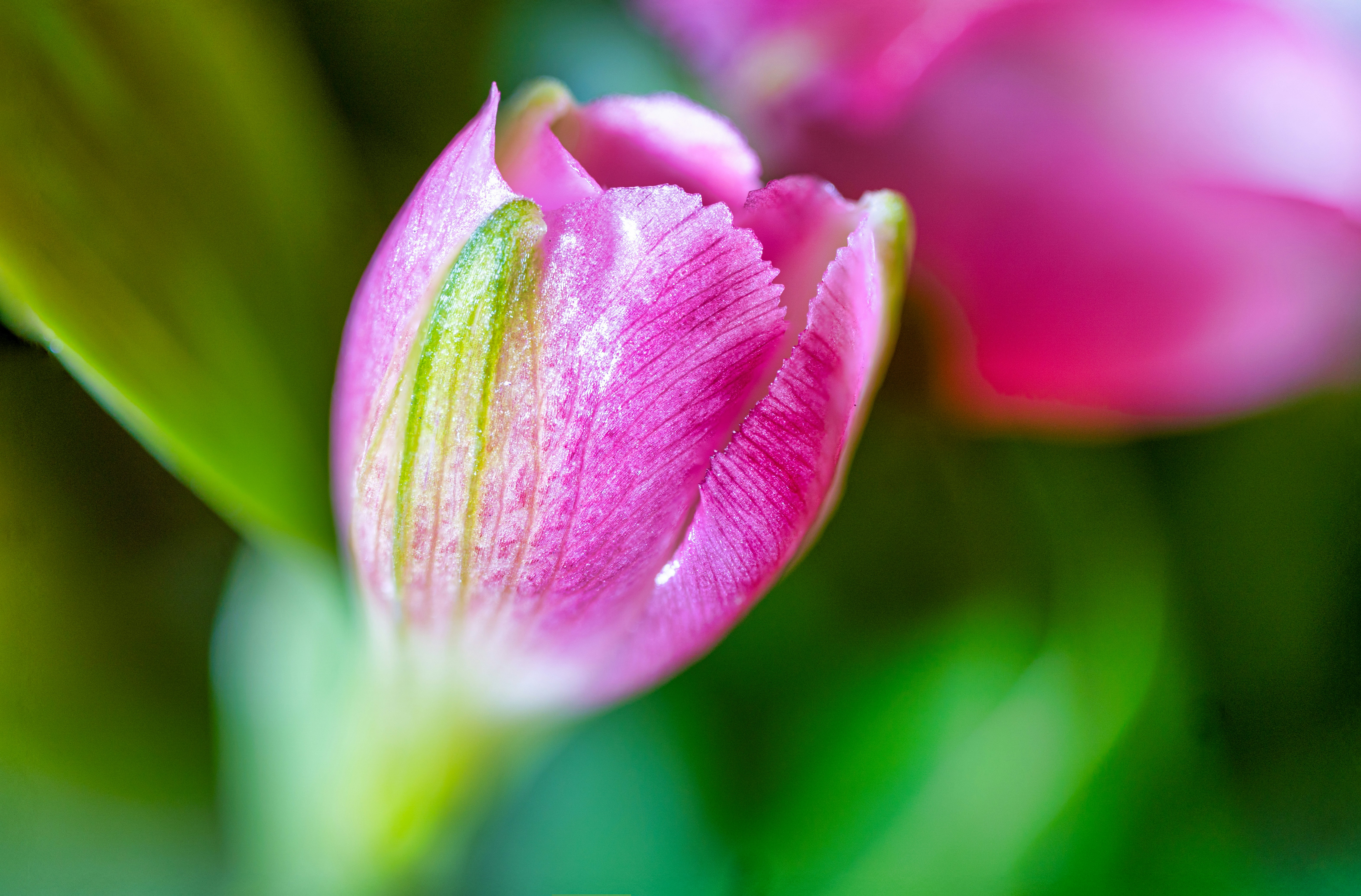 Photo by mharrisonphotography