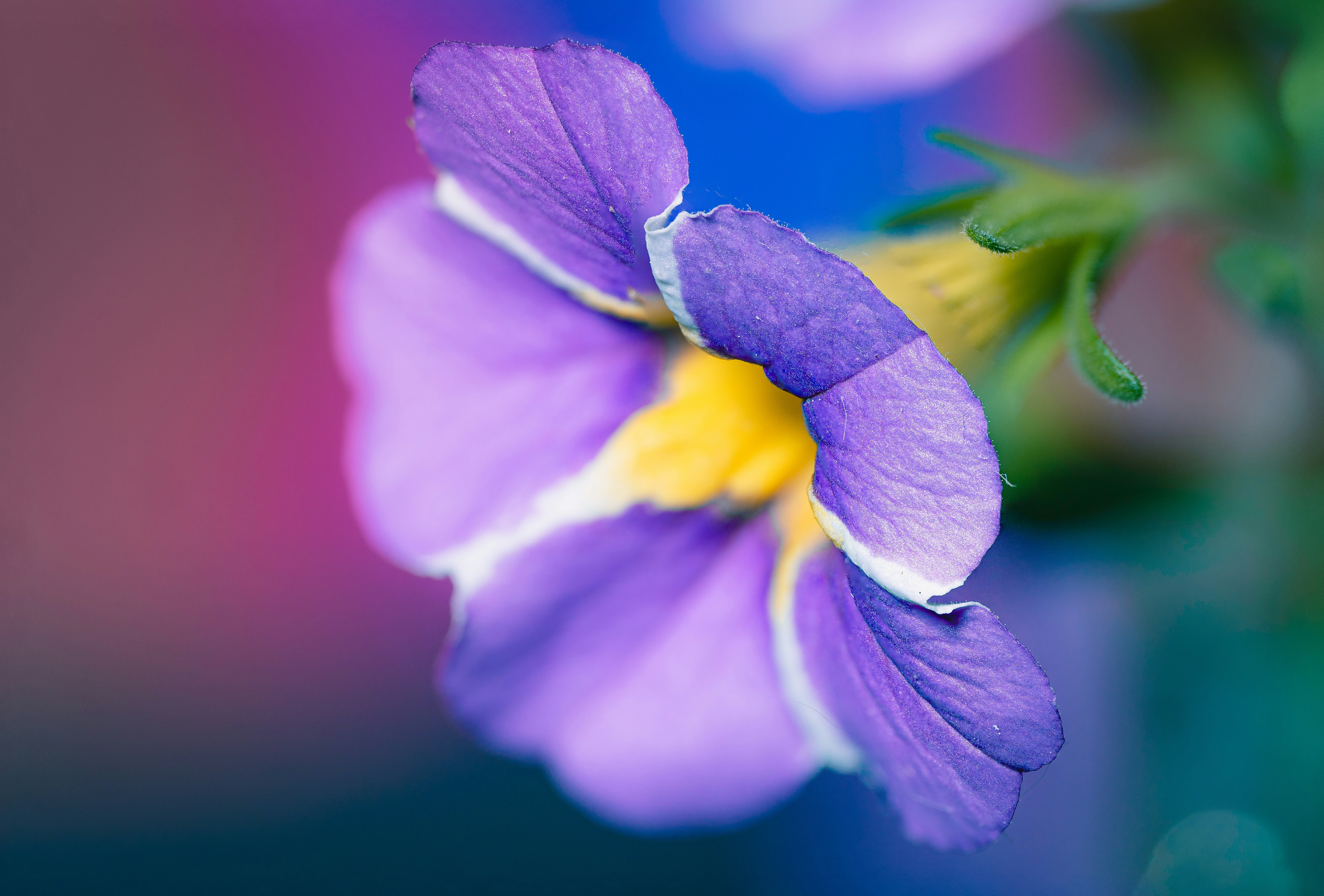 Photo by mharrisonphotography