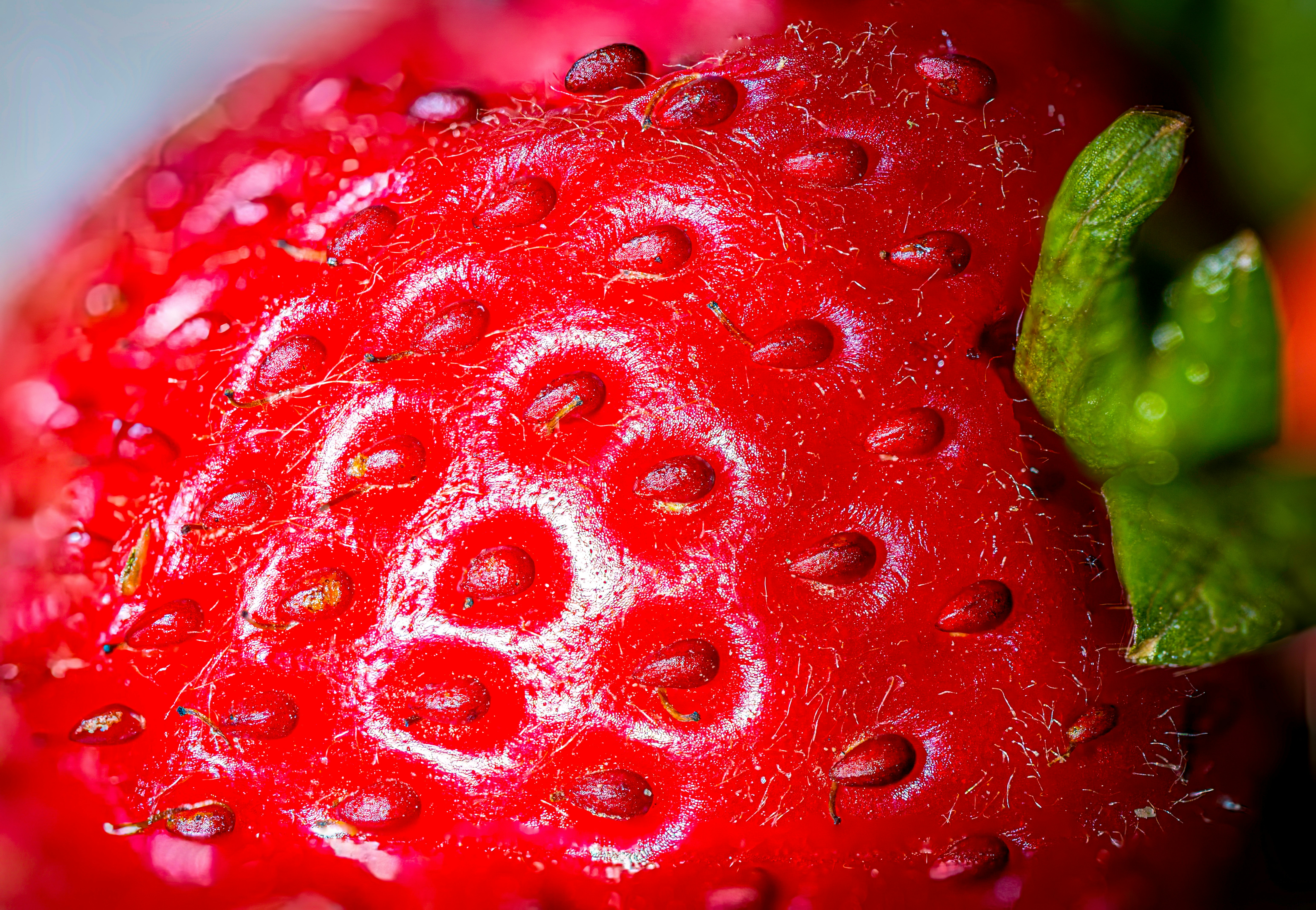 A alimentação para fortalecer o sistema imunológico