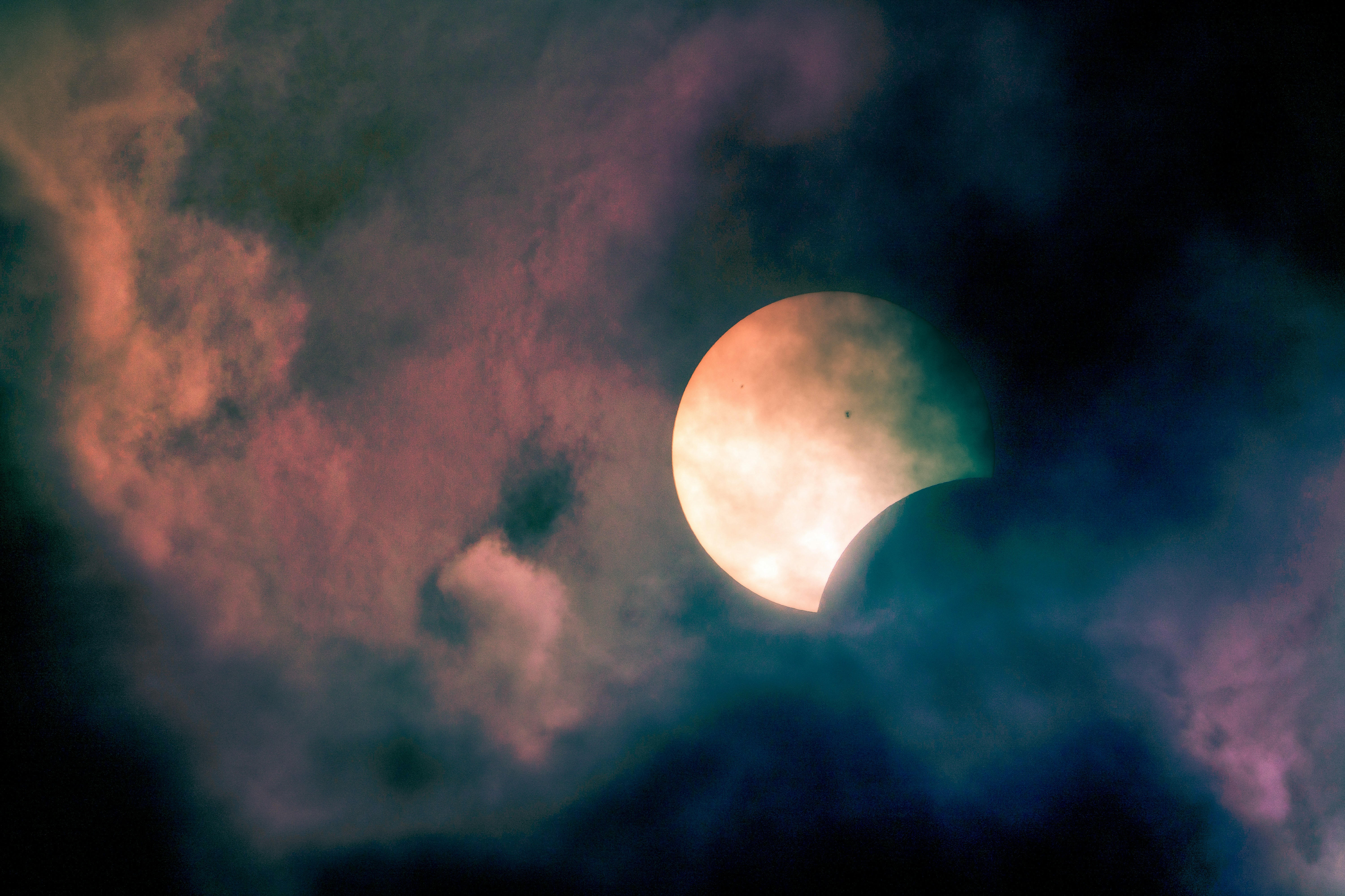 Photo by mharrisonphotography