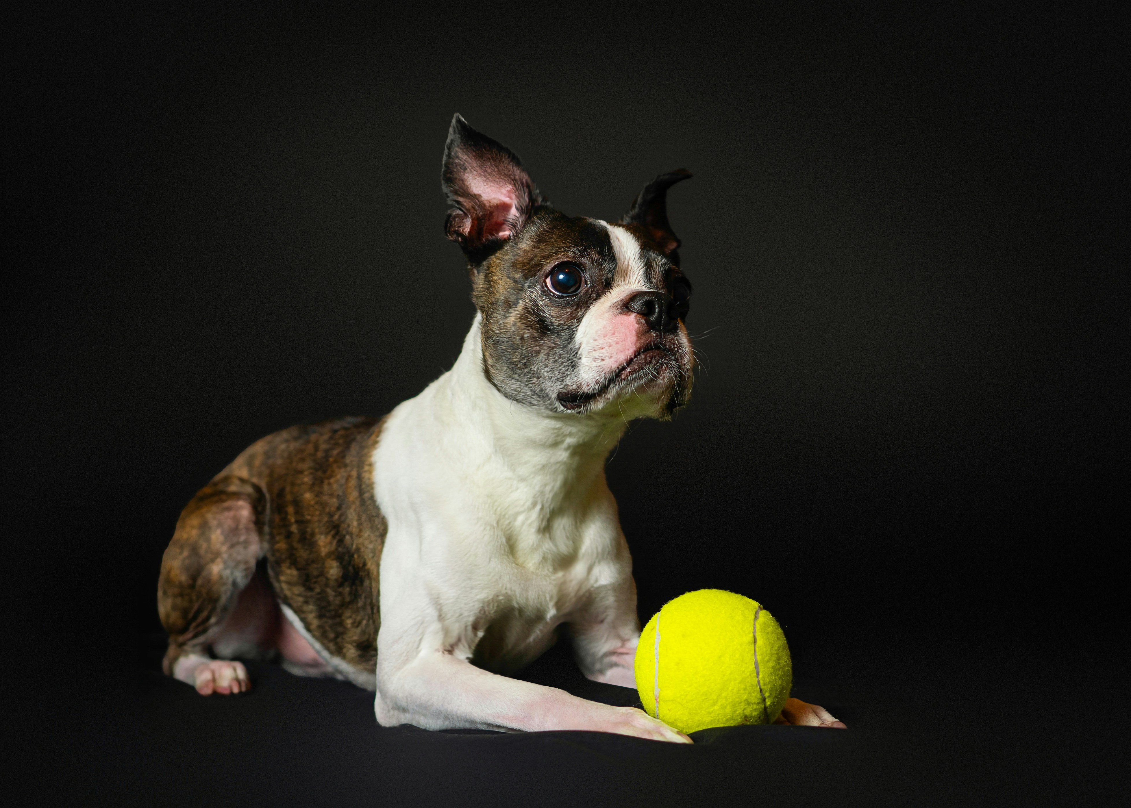 Photo by mharrisonphotography