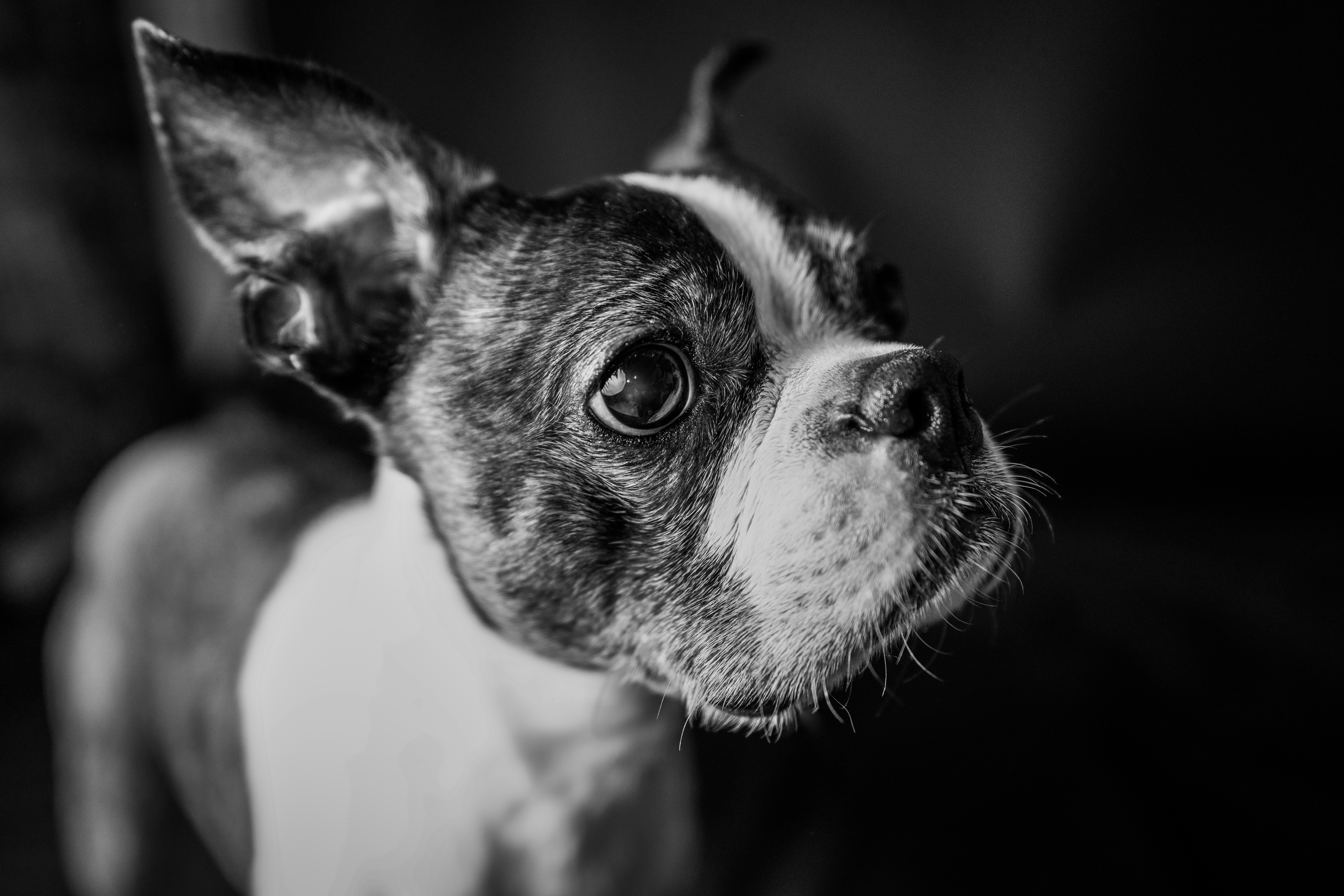 Photo by mharrisonphotography