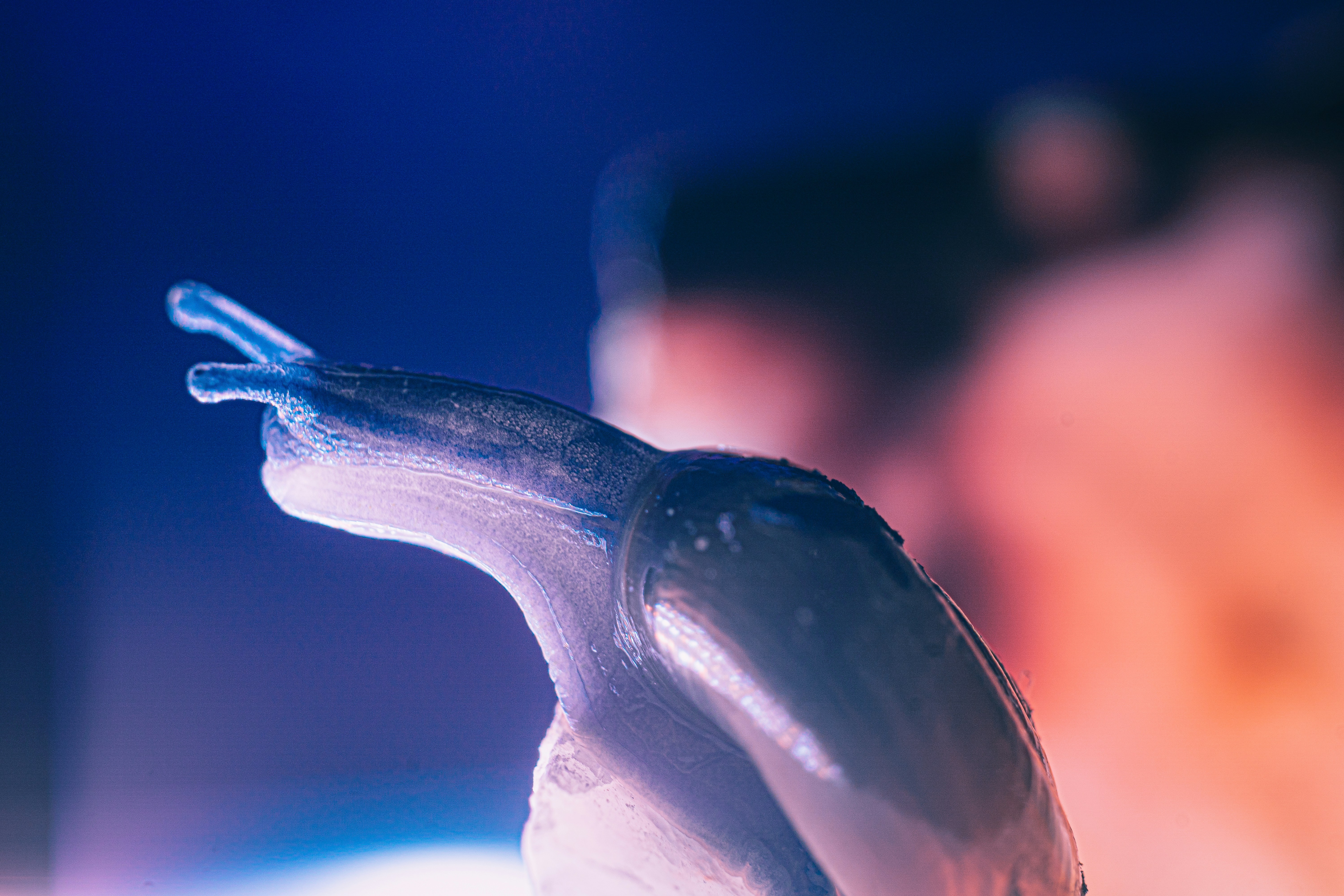 Photo by mharrisonphotography