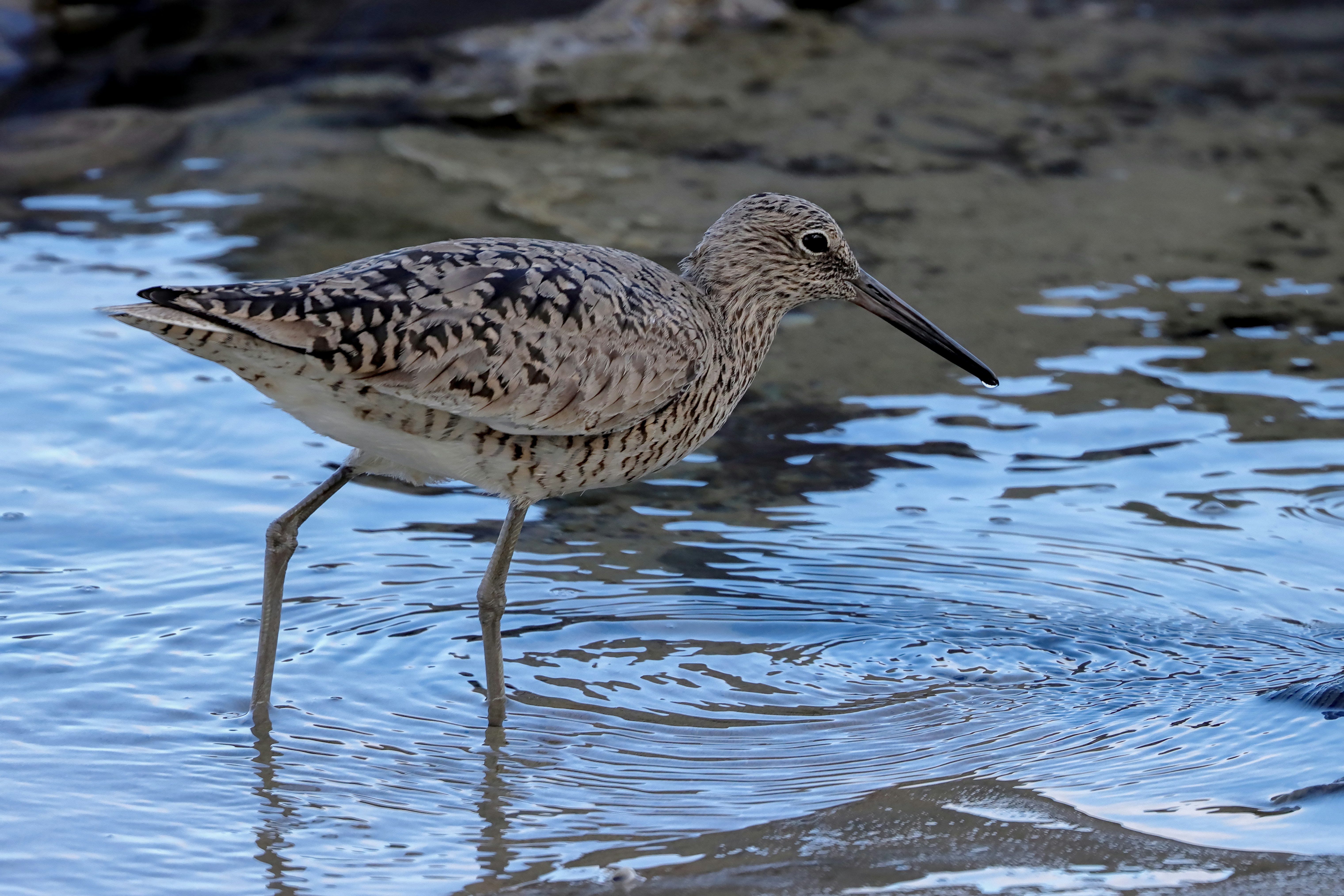 Photo by custombytodd