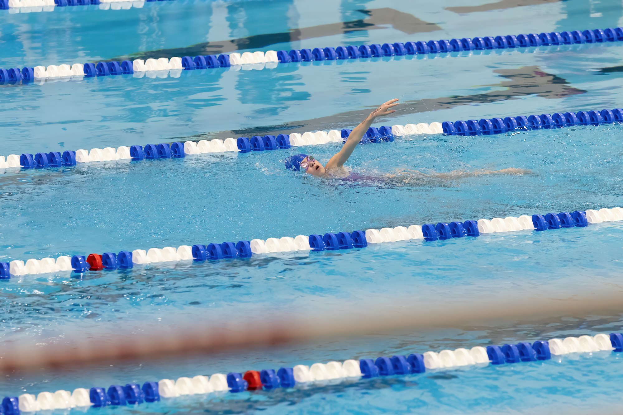 A group of people swimming in a pool