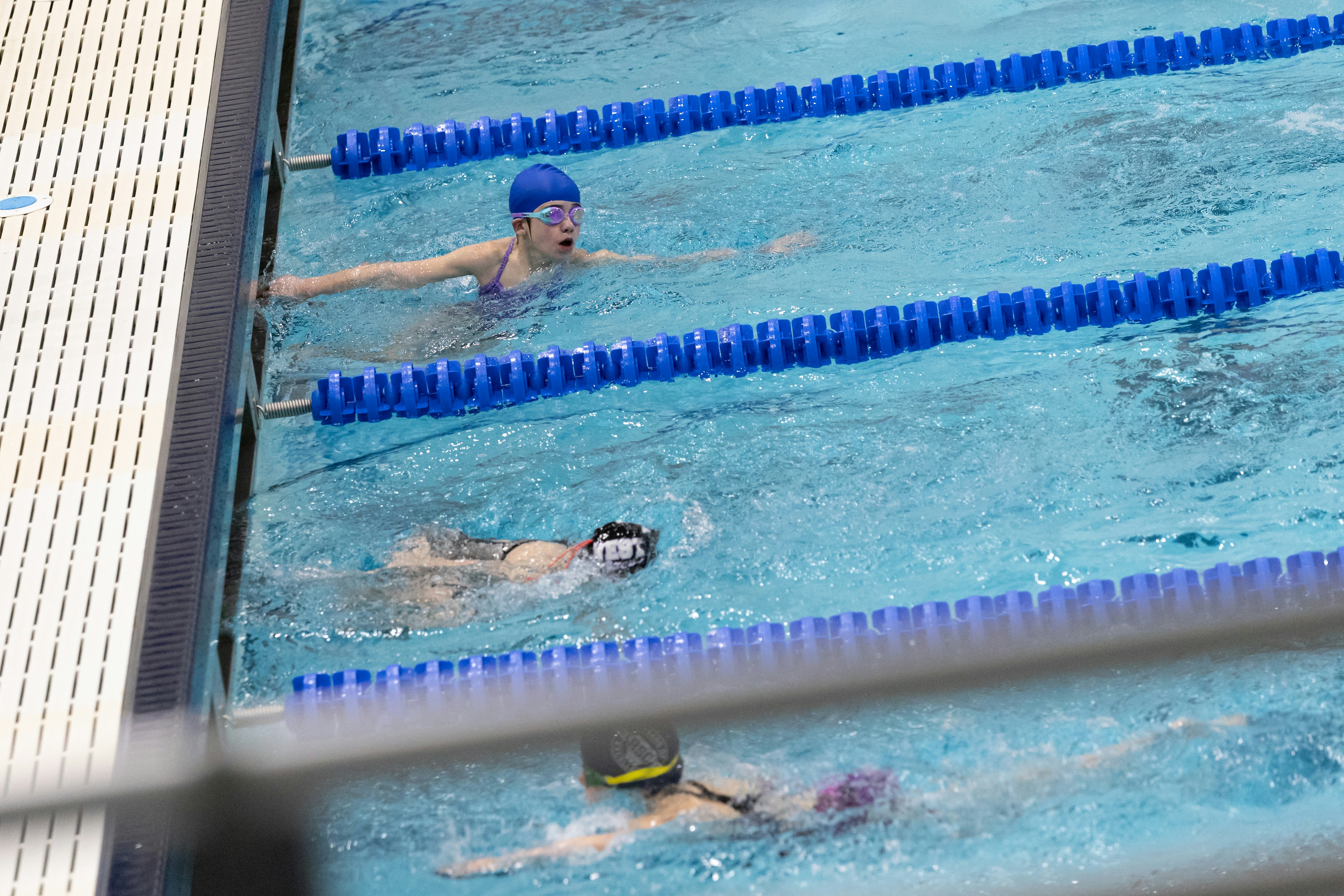 A group of people swimming in a pool