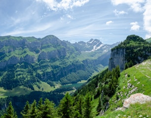 A scenic view of a valley with mountains in the background