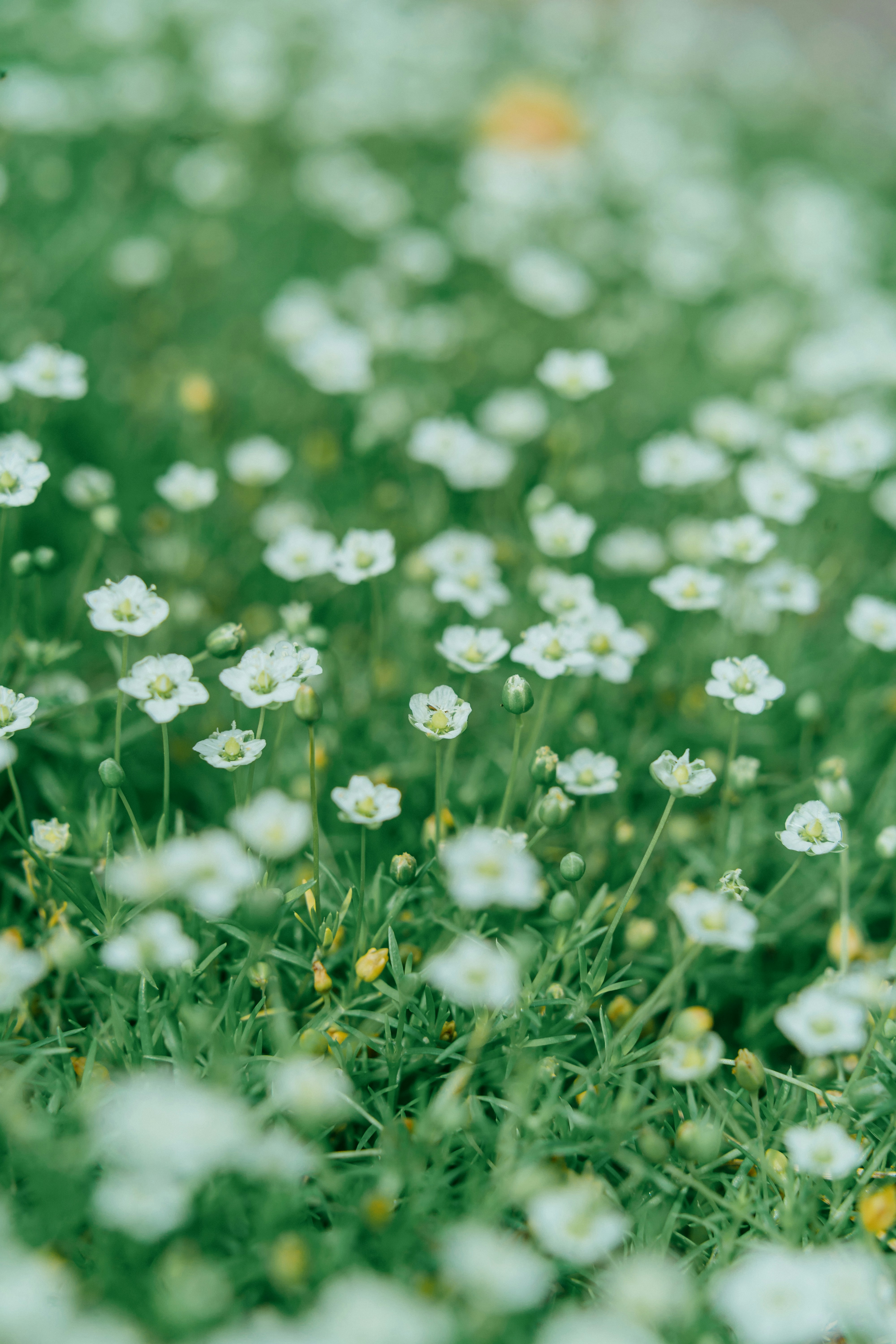 Photo by anamnesis33