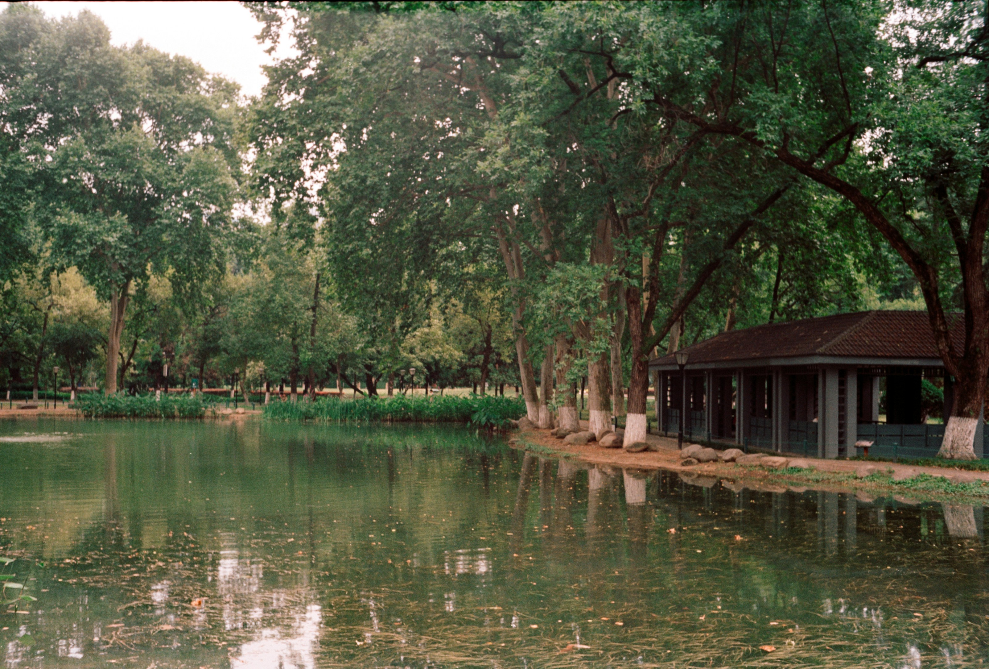 Toklat River Rest Area photo 2