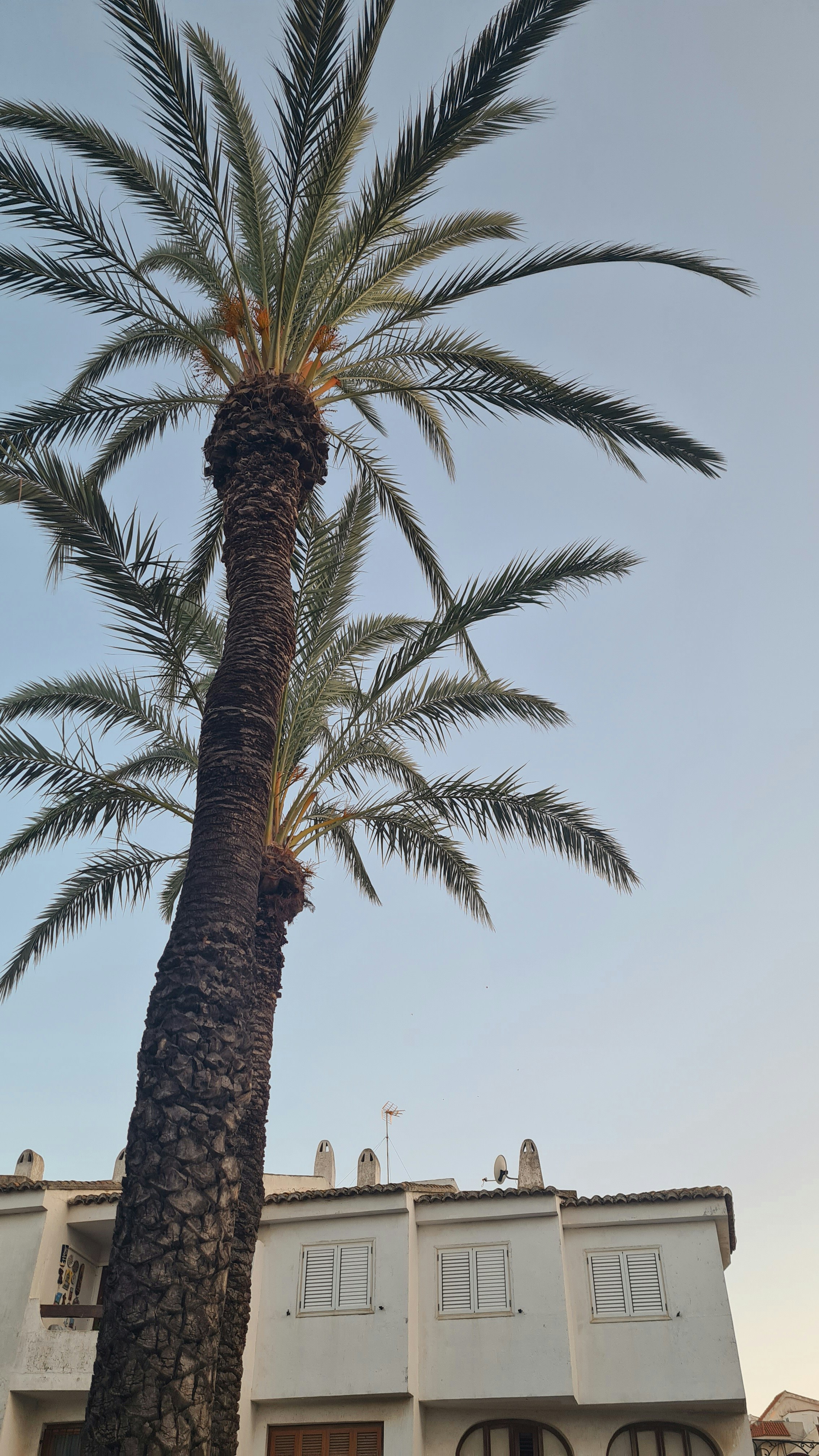 Photo by allcutified