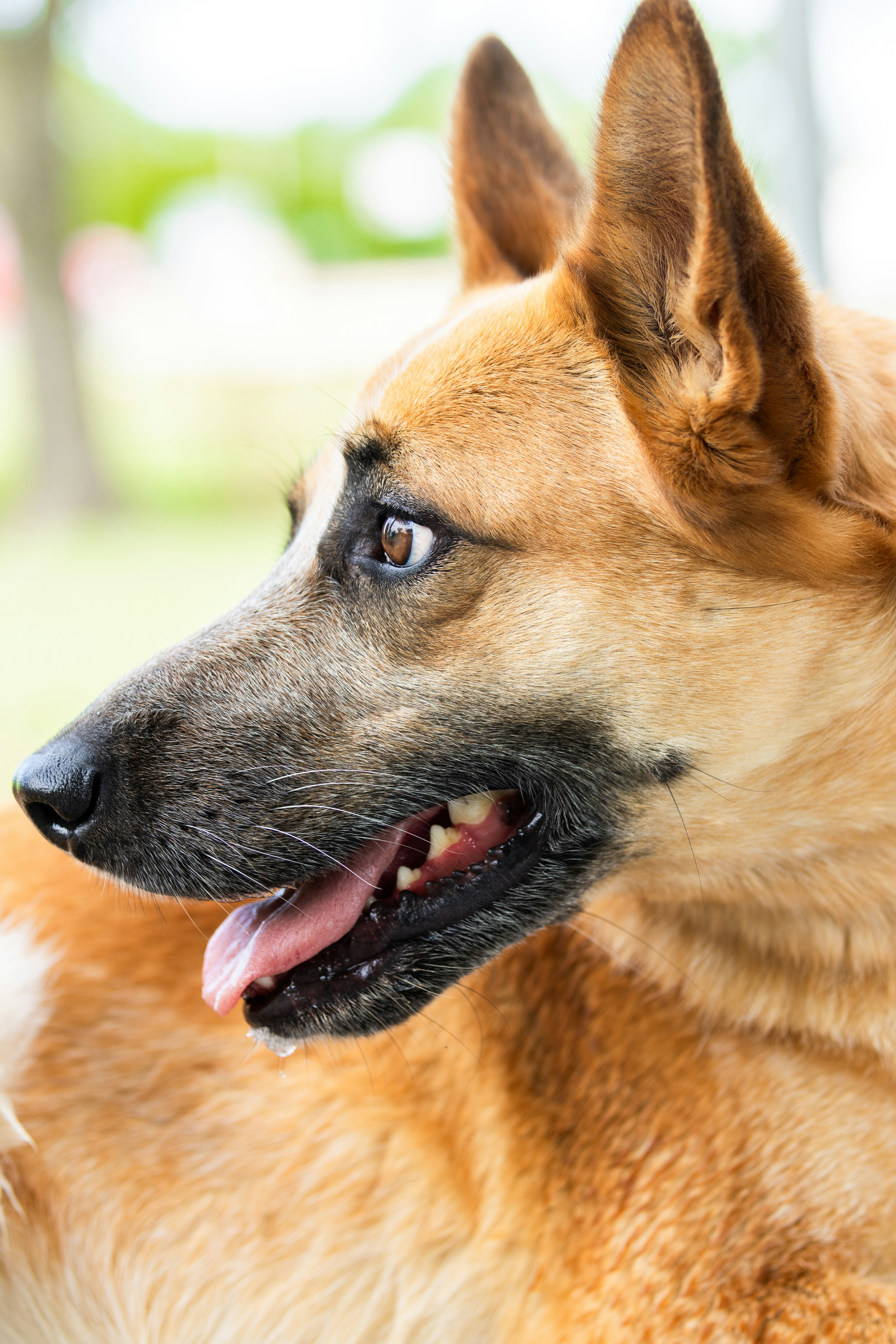 Photo by samdasherx13