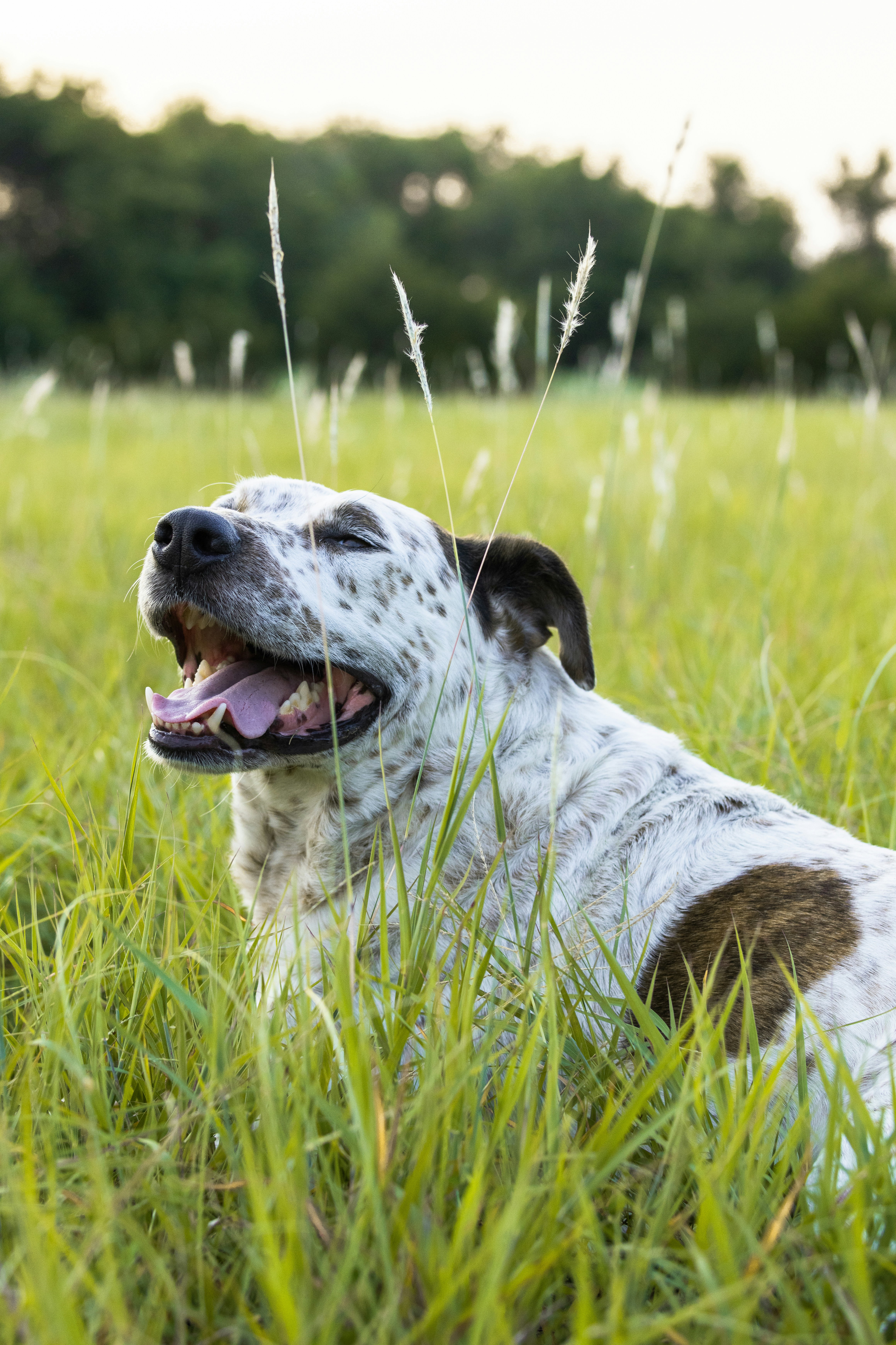 Photo by samdasherx13