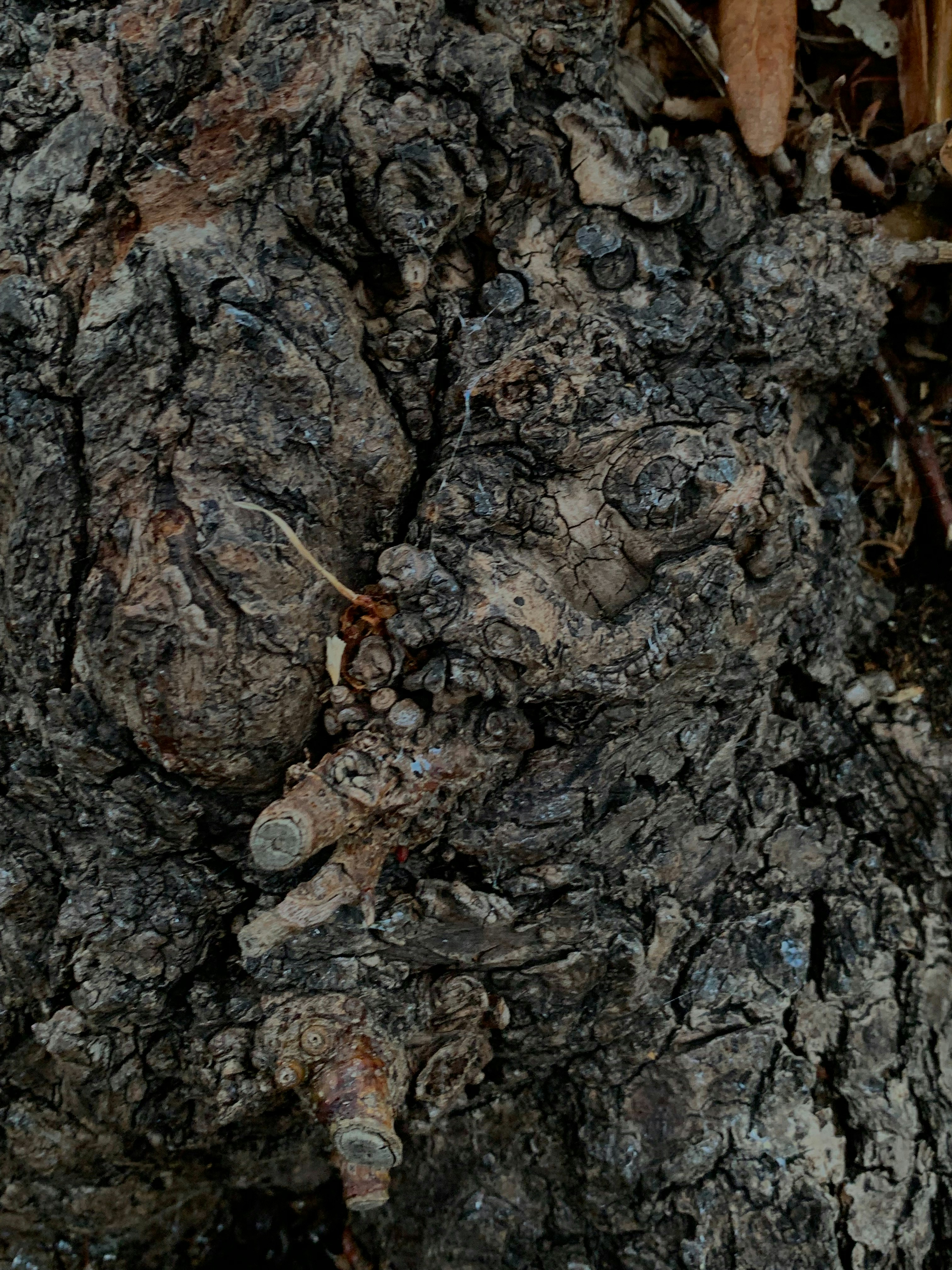 Photo by sizzle_nigiri