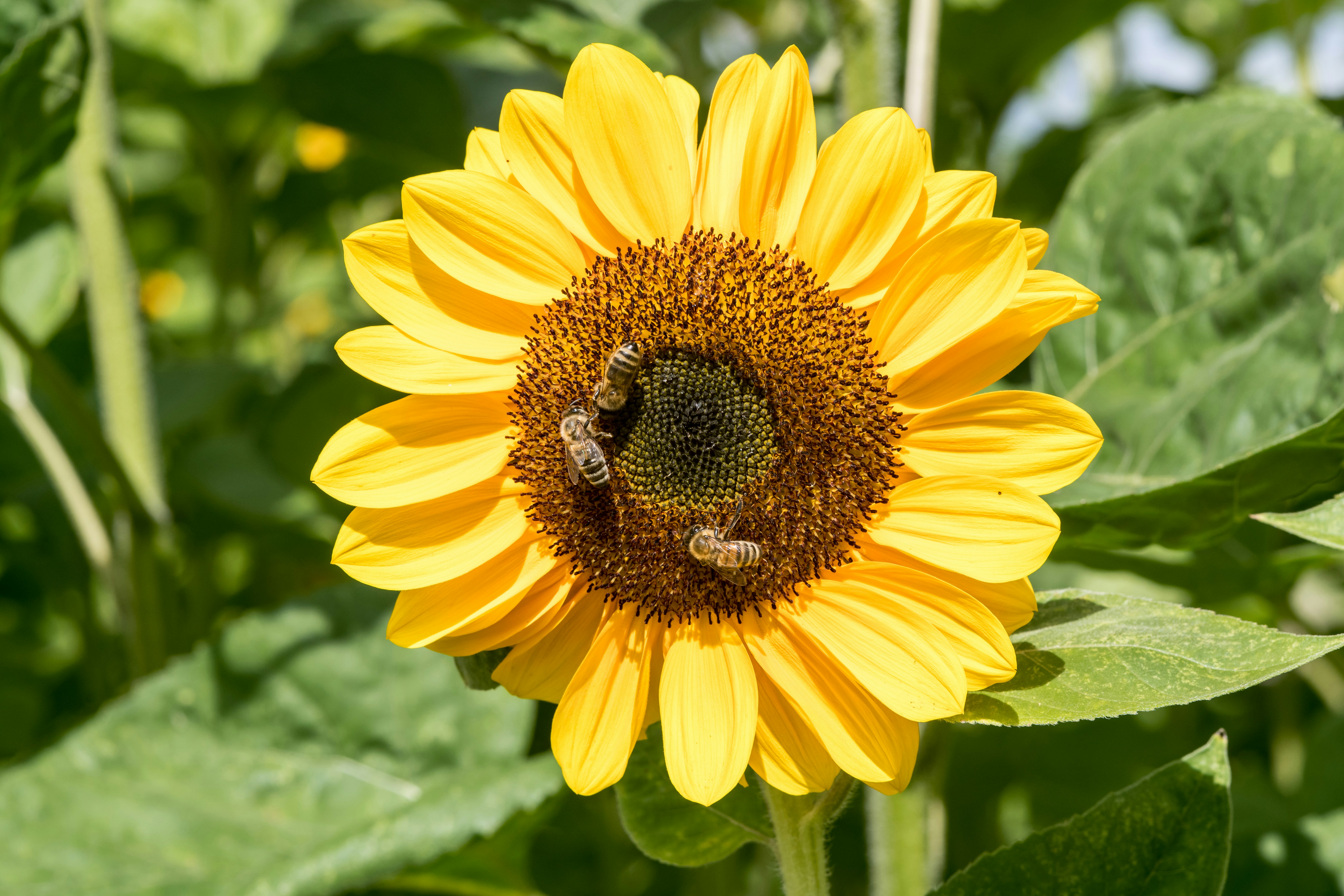 Photo by hamburgmeinefreundin