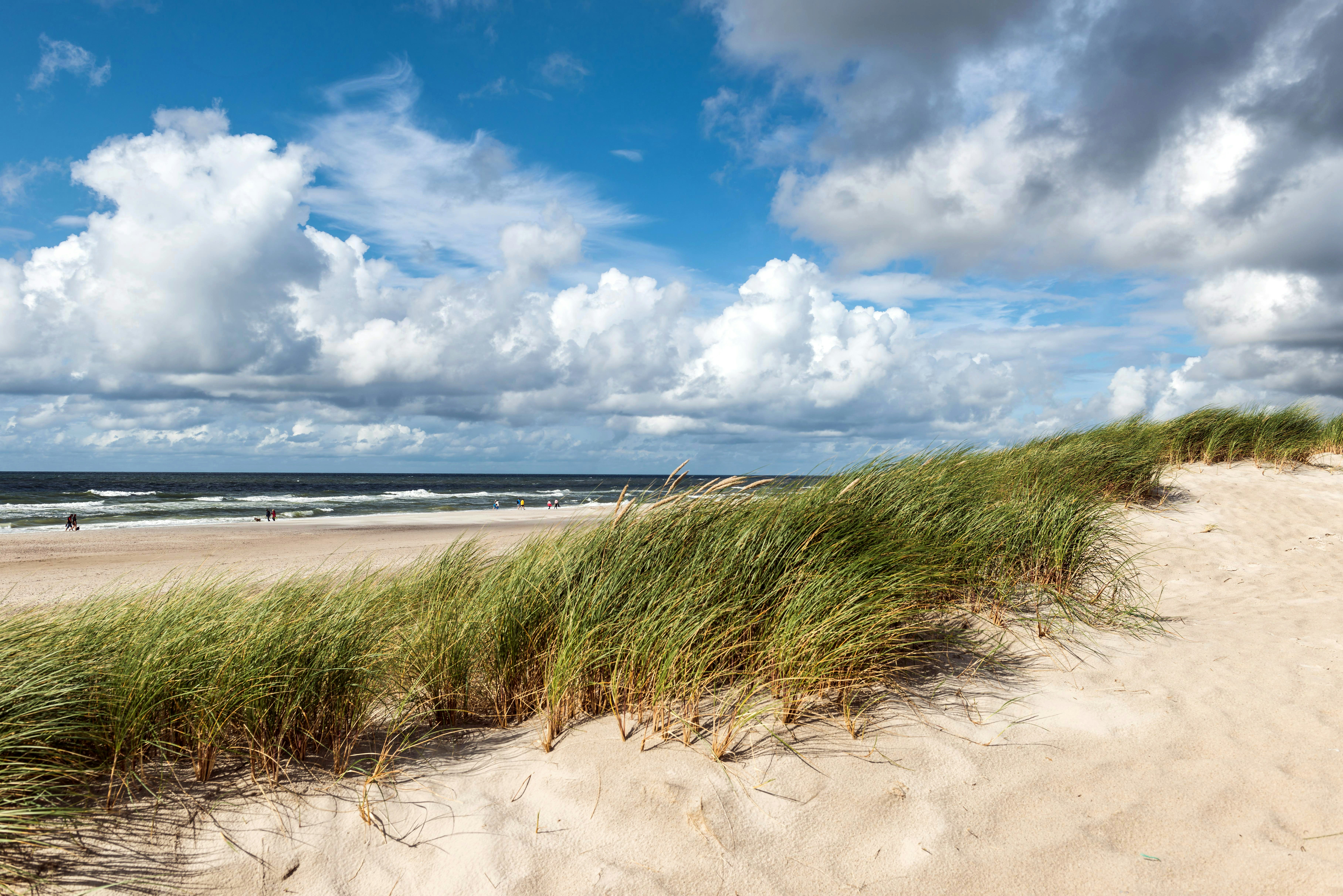 Photo by hamburgmeinefreundin