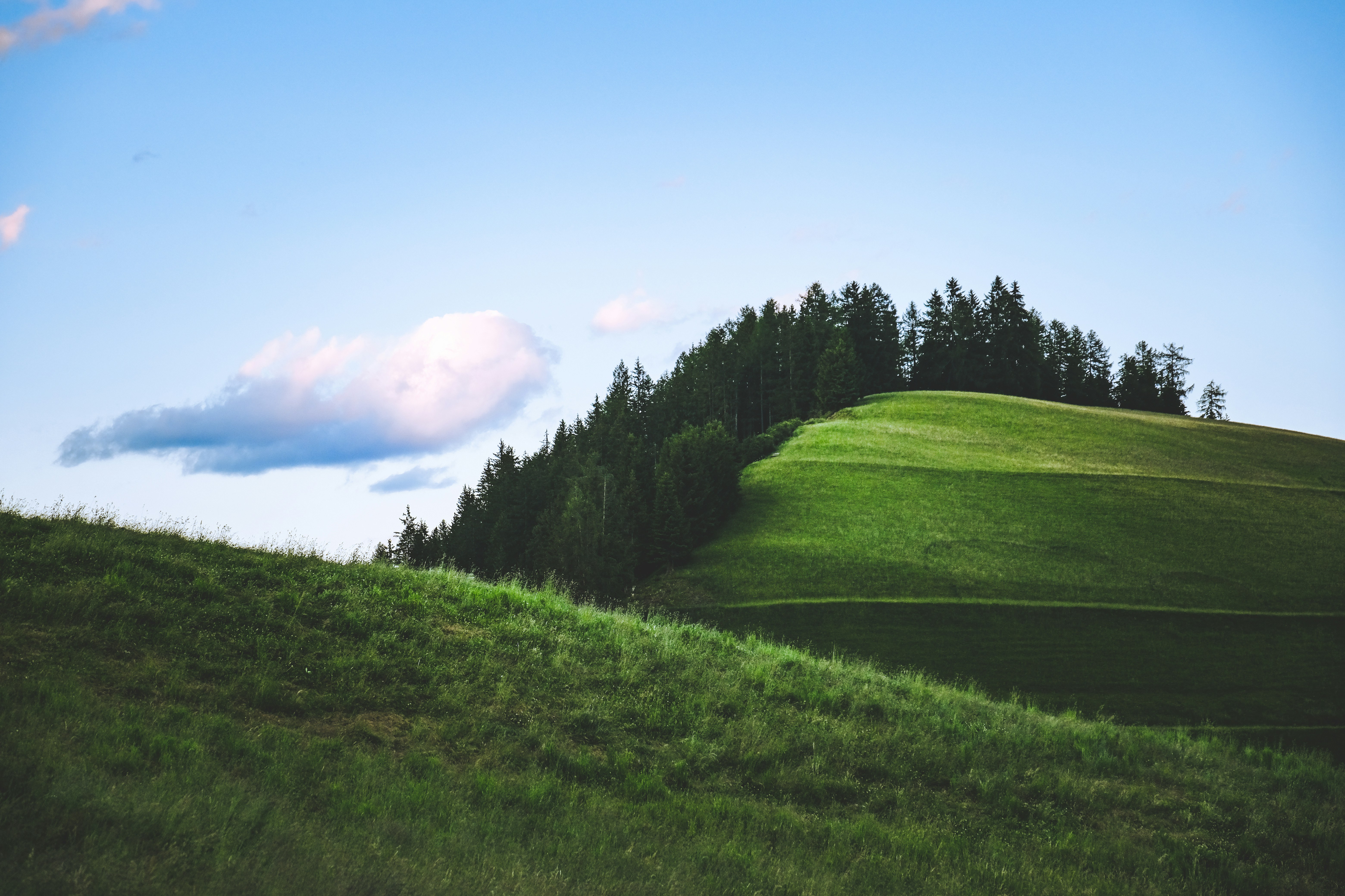 Photo by francesco_ungaro