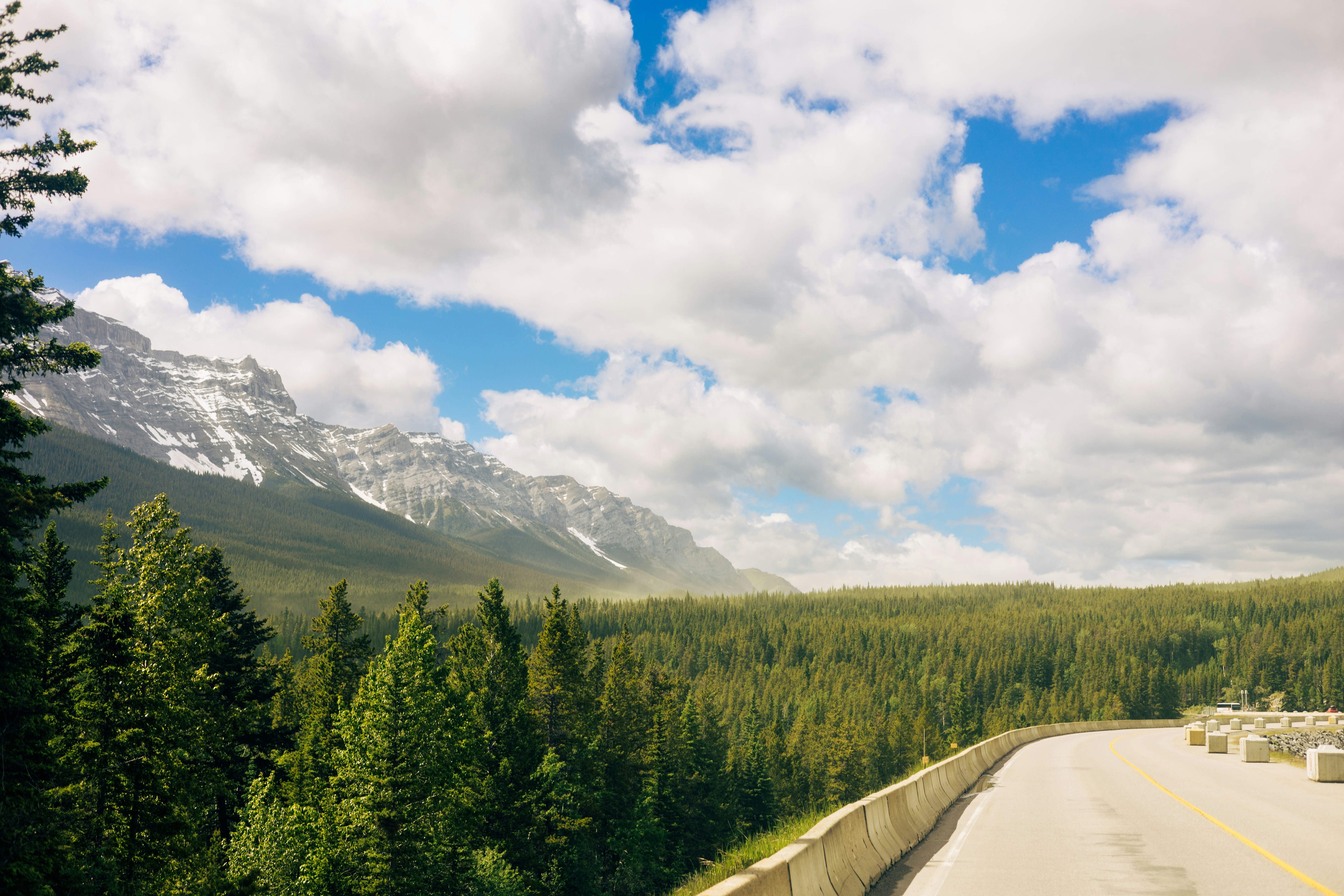 Photo by harrydhindsa