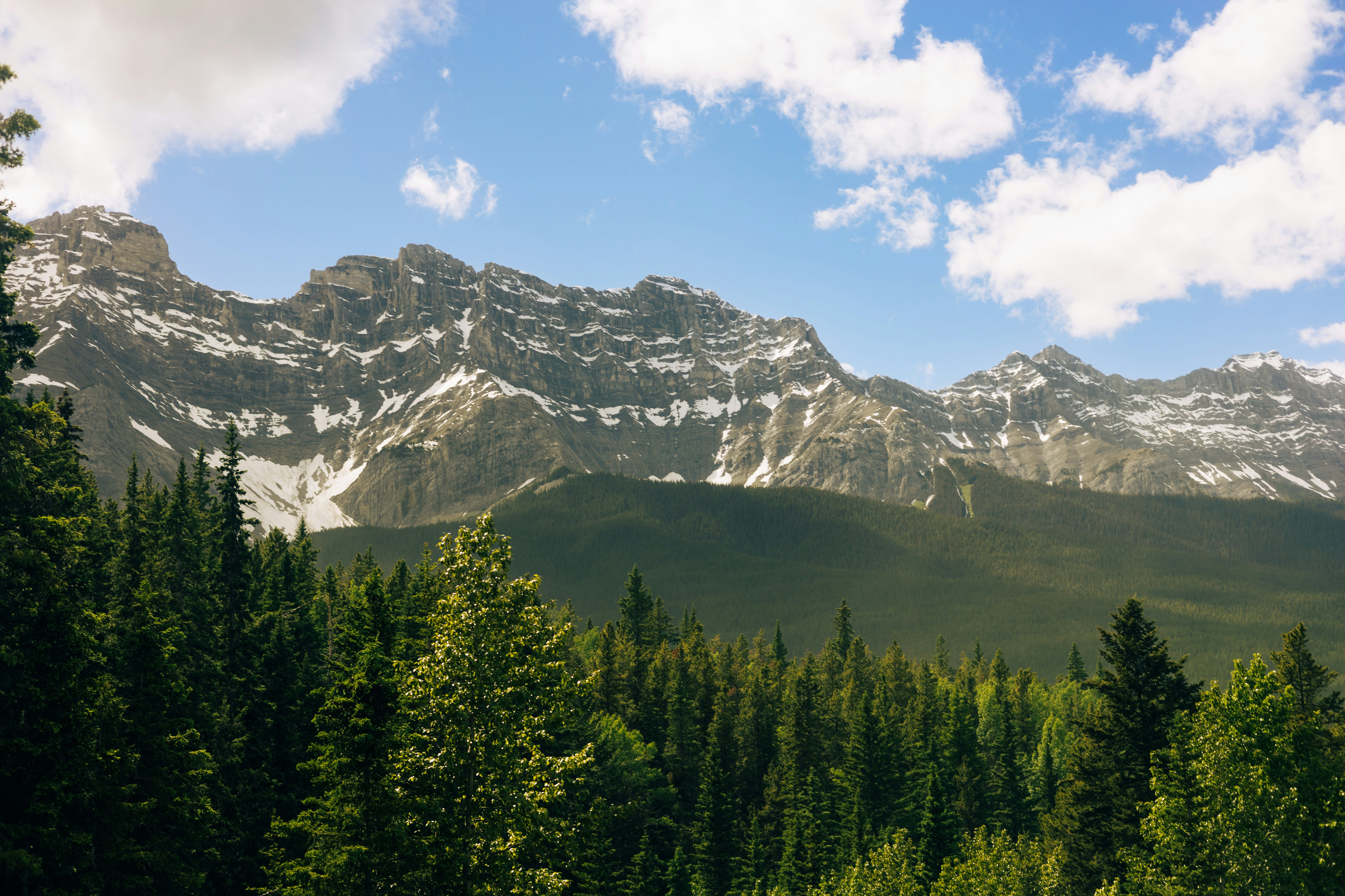 Photo by harrydhindsa