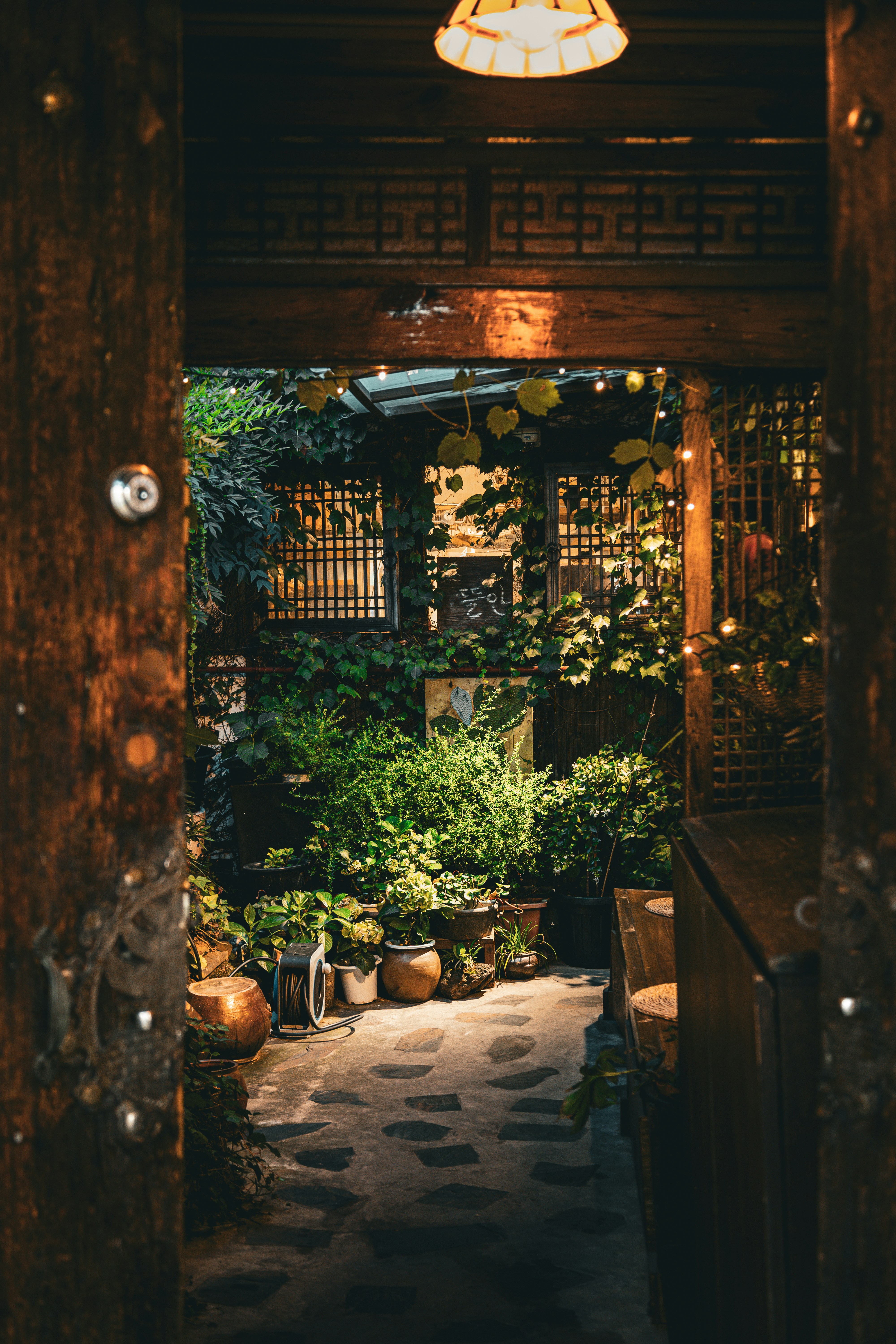 Photo by i_love_stat