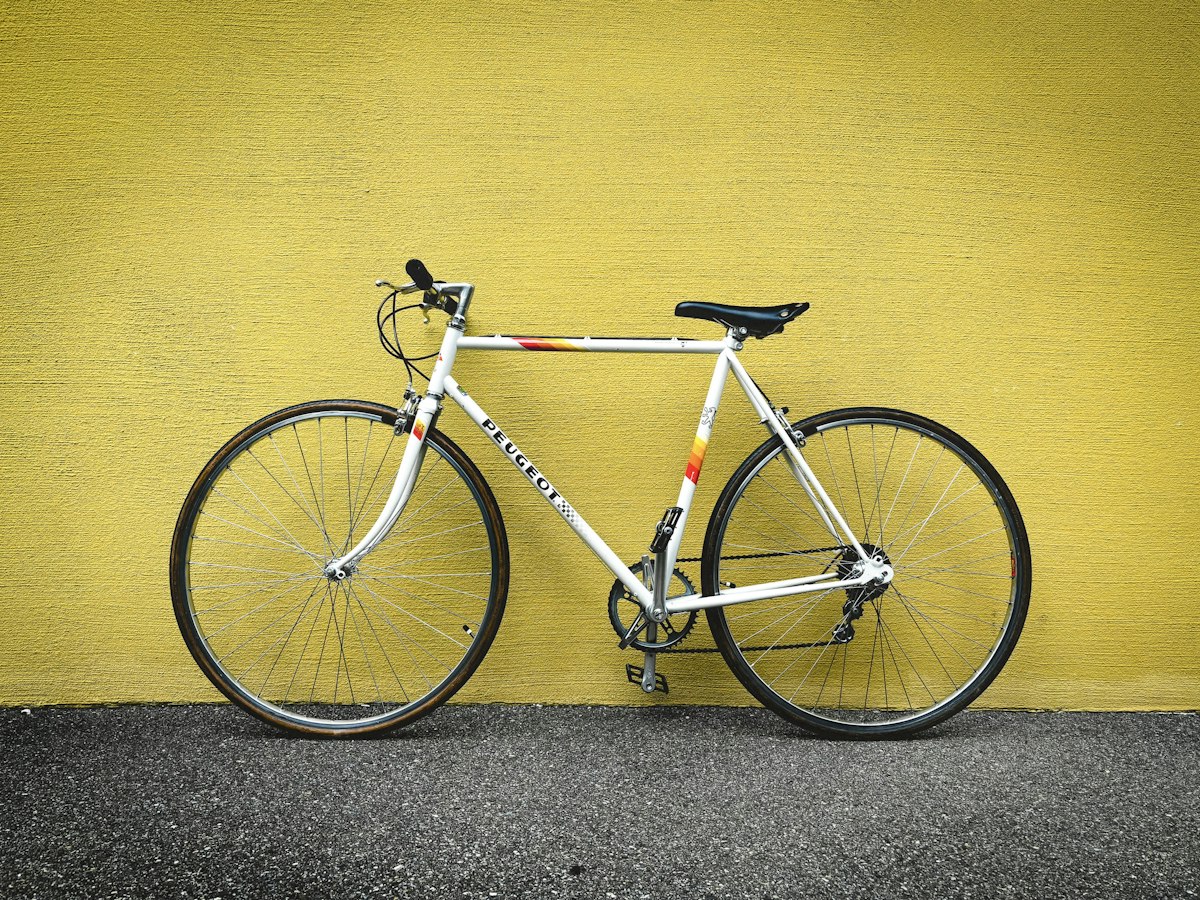Raleigh Sports Phục Chế