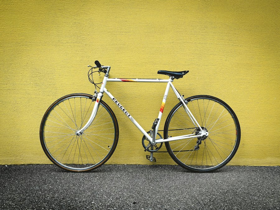 Raleigh Sports Phục Chế