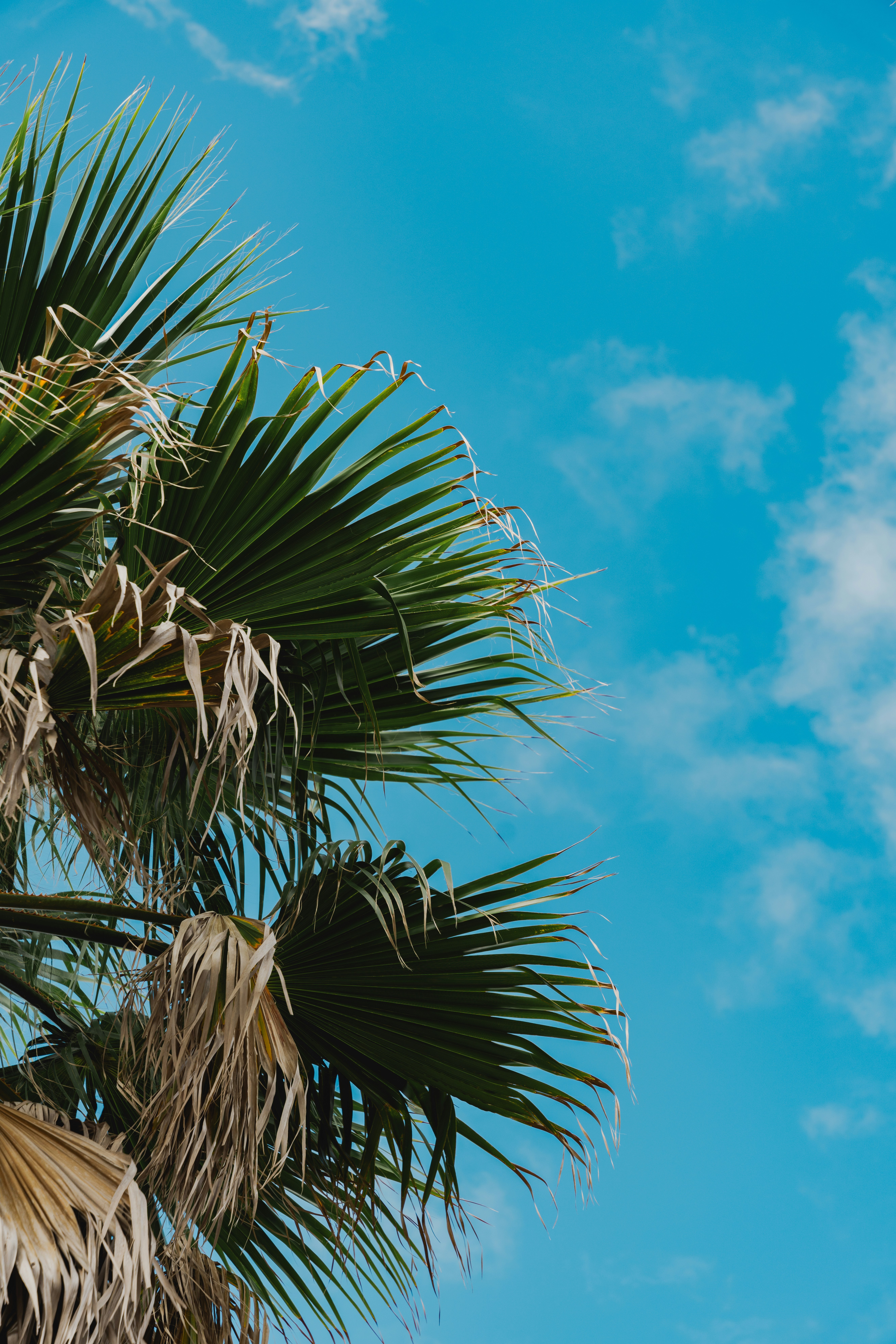 Photo by nellie_adamyan