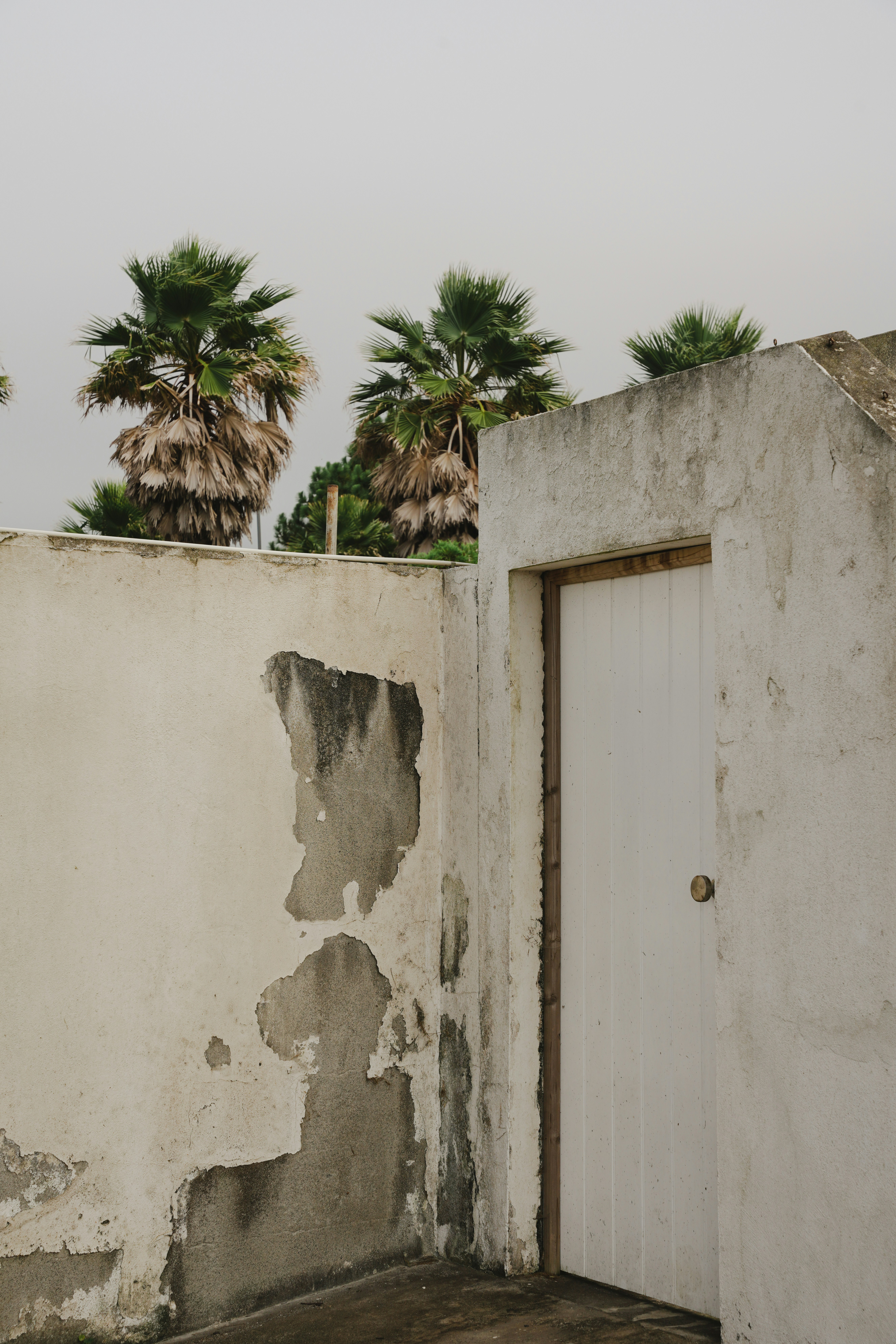 Photo by nellie_adamyan