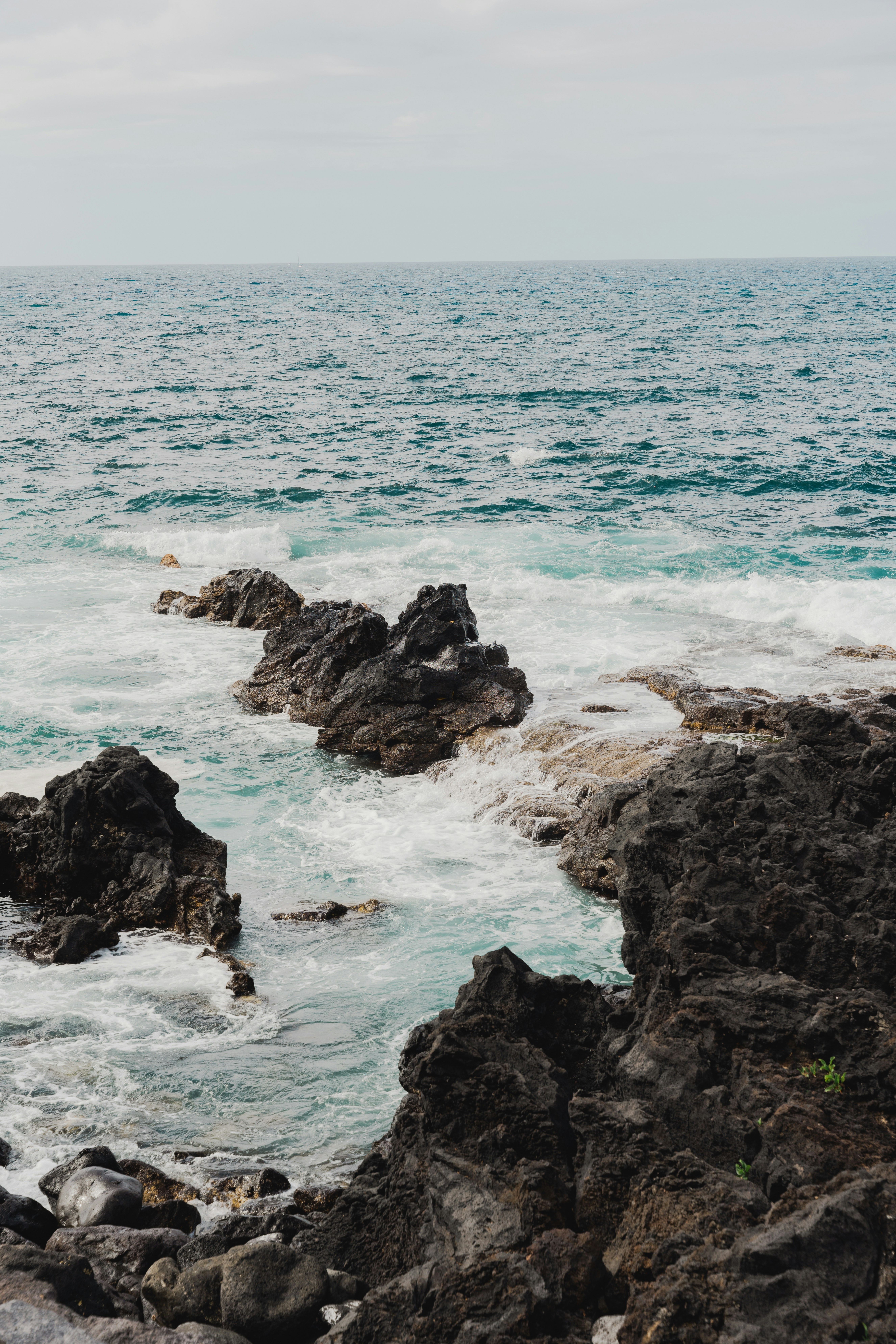 Photo by nellie_adamyan