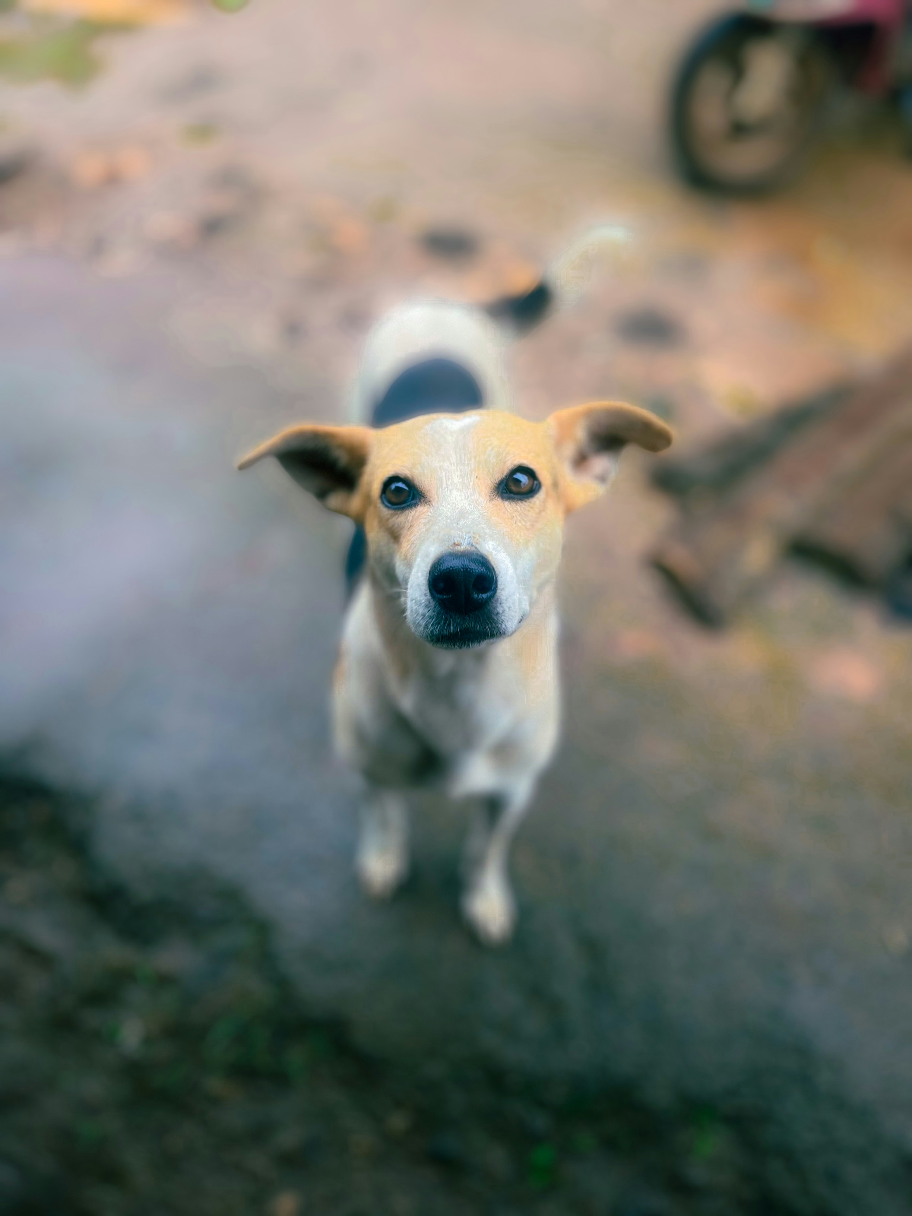 Photo by ajithpdas26_