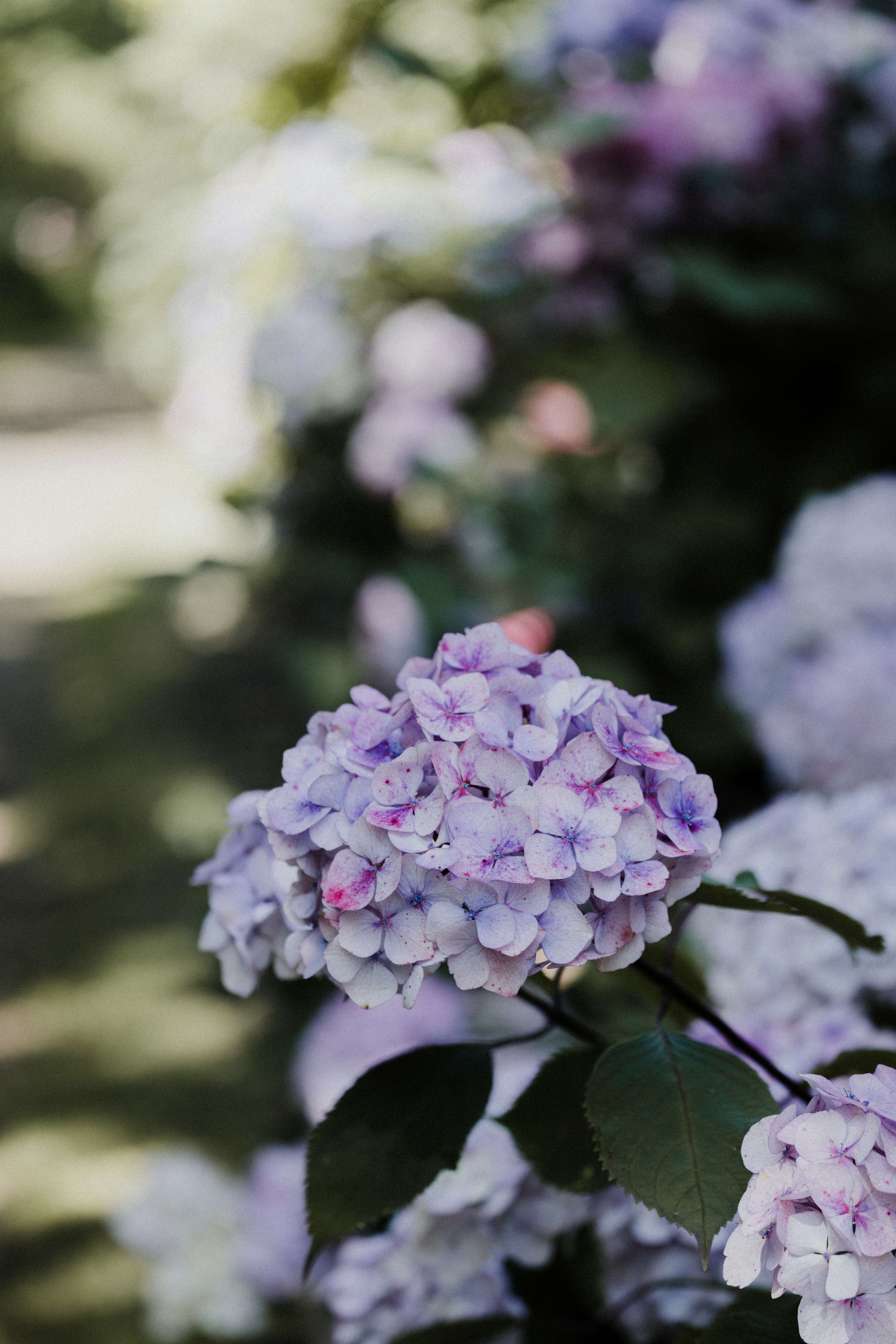 Photo by anniespratt