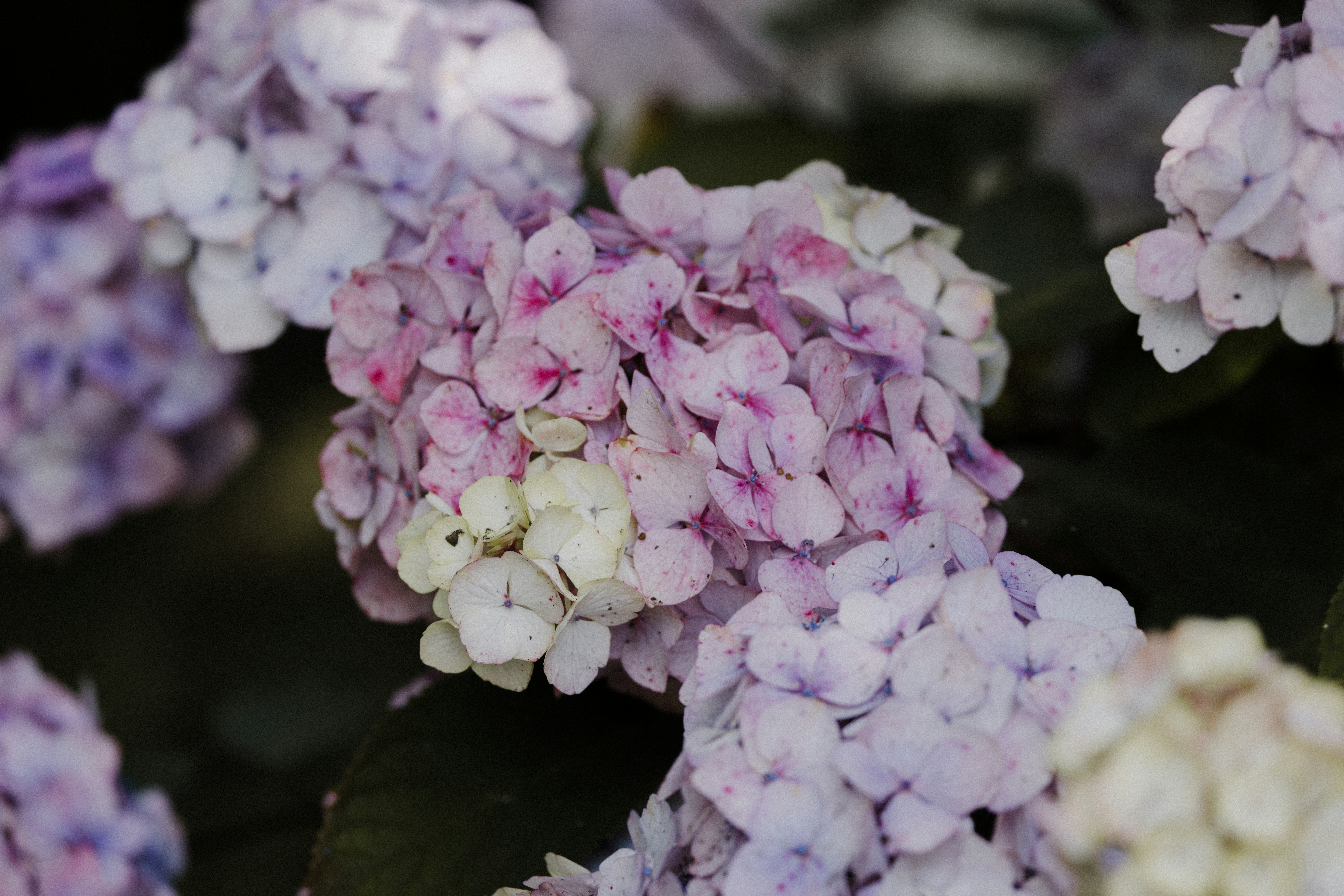 Photo by anniespratt