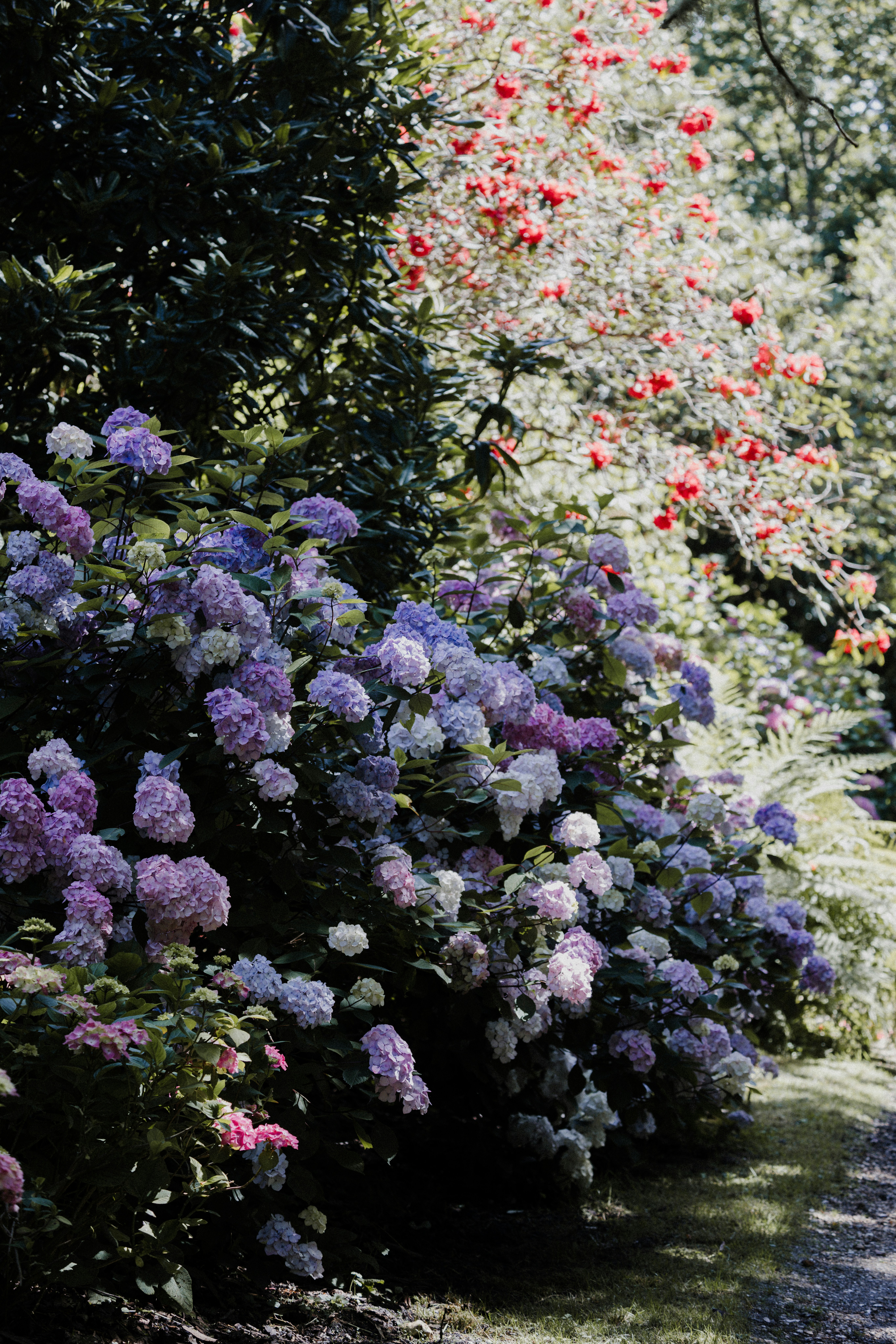 Photo by anniespratt