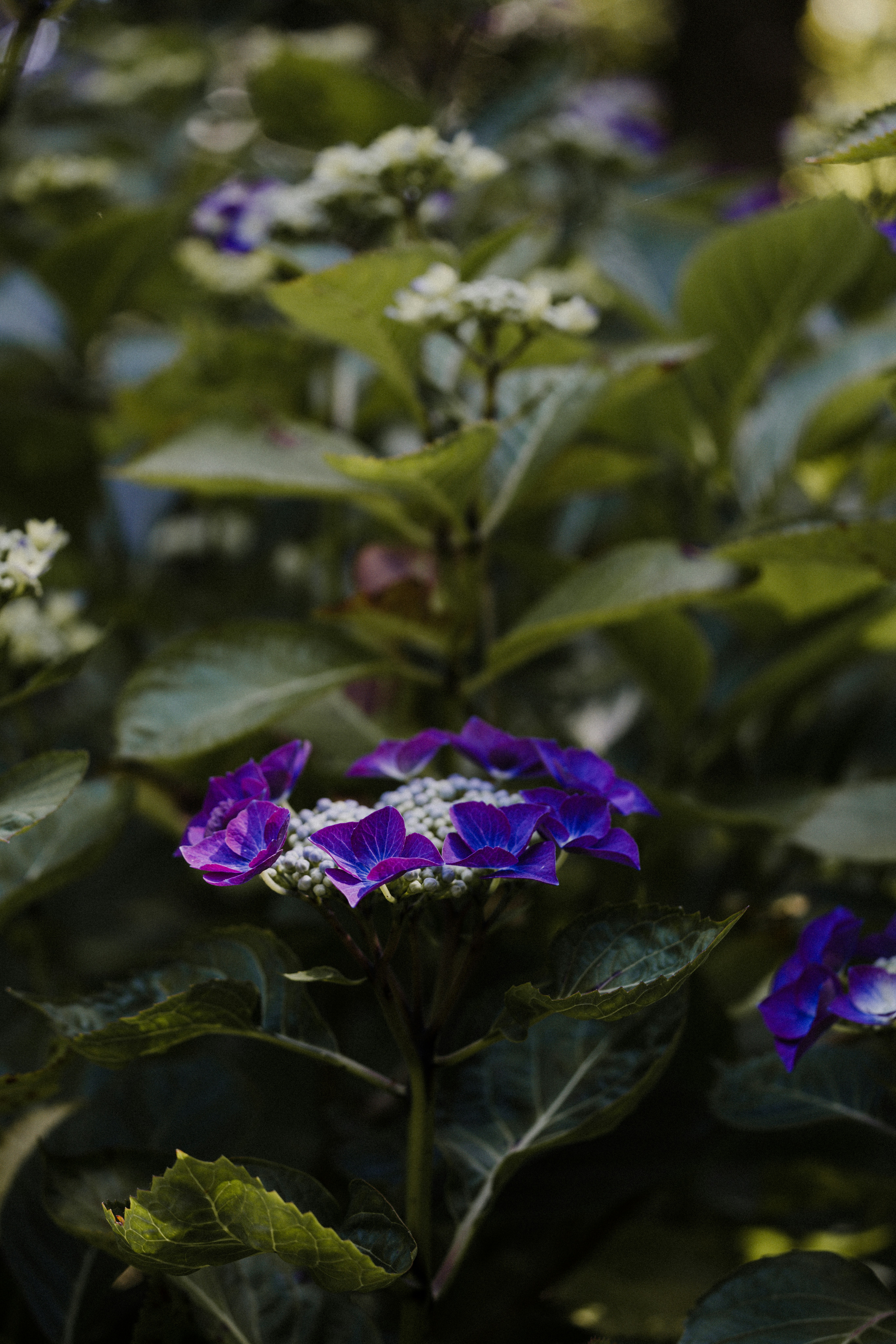 Photo by anniespratt