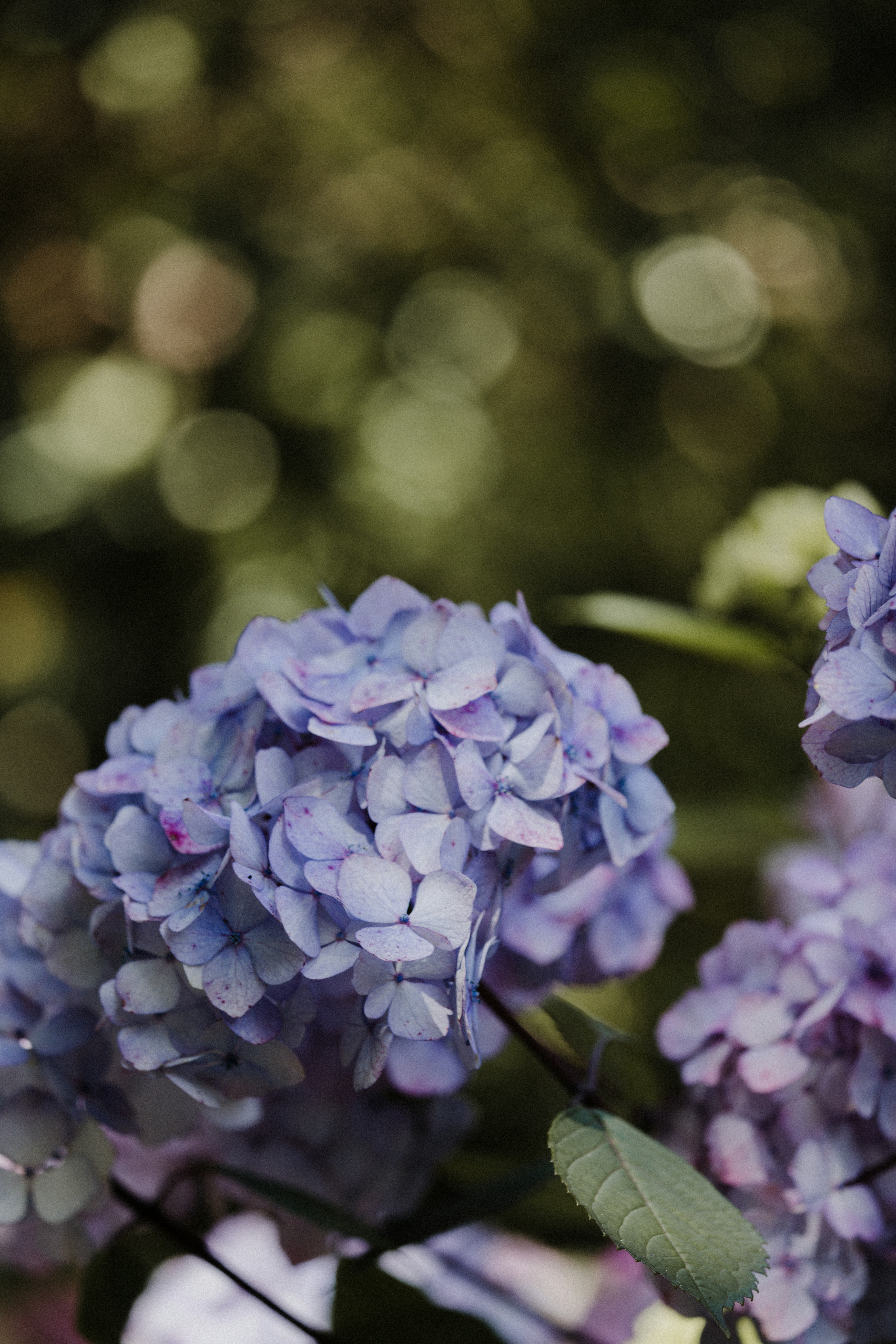 Photo by anniespratt