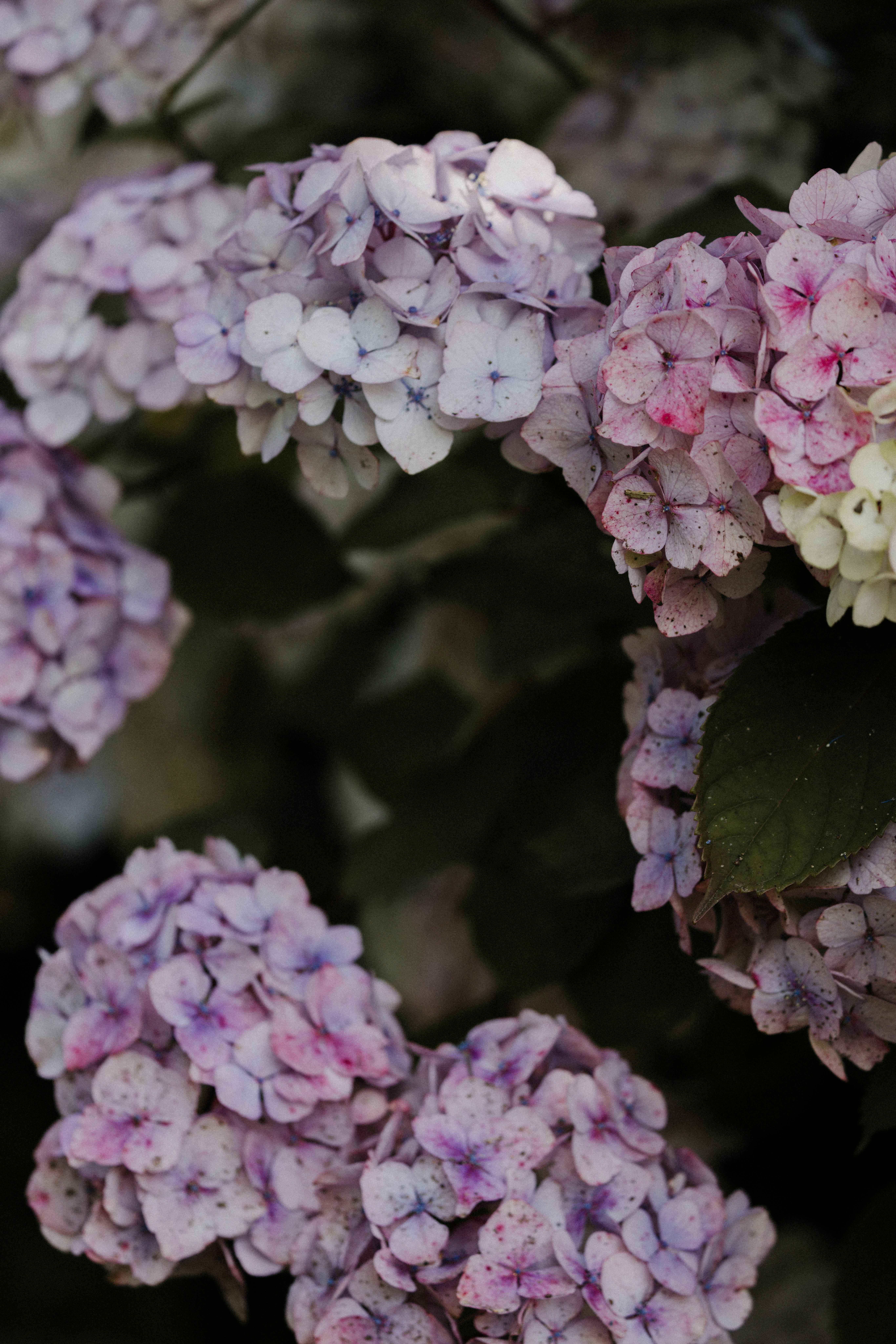 Photo by anniespratt