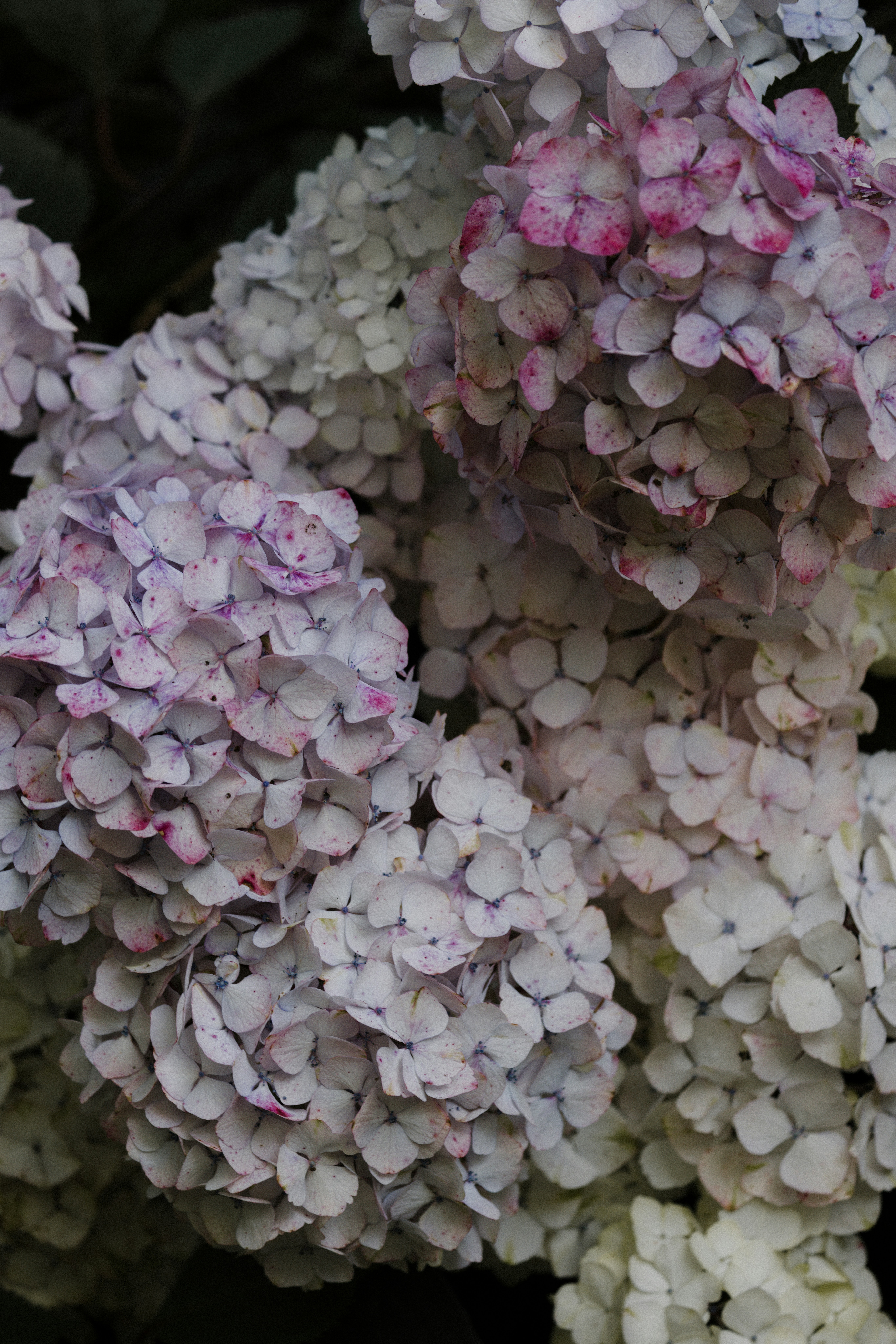 Photo by anniespratt