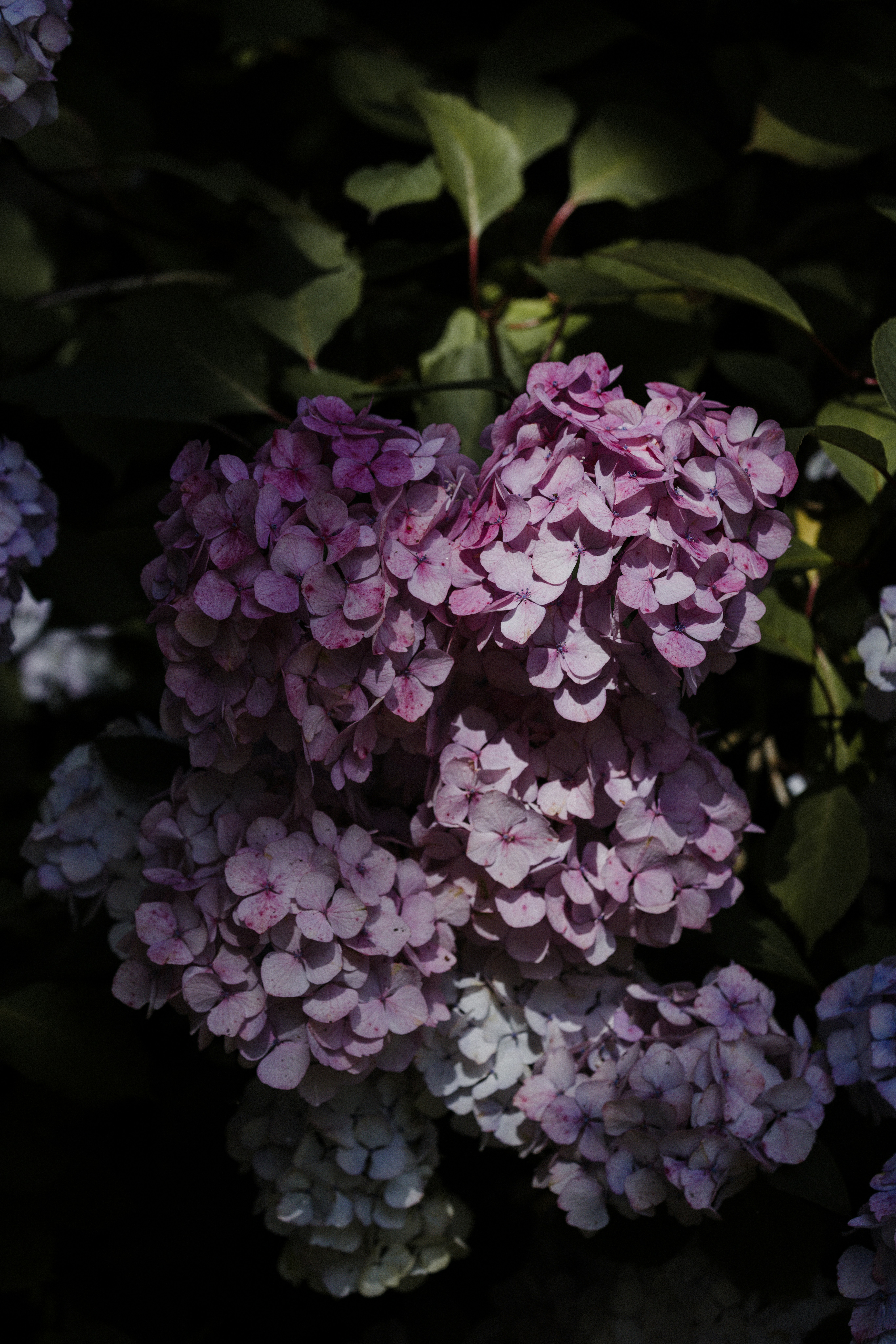 Photo by anniespratt