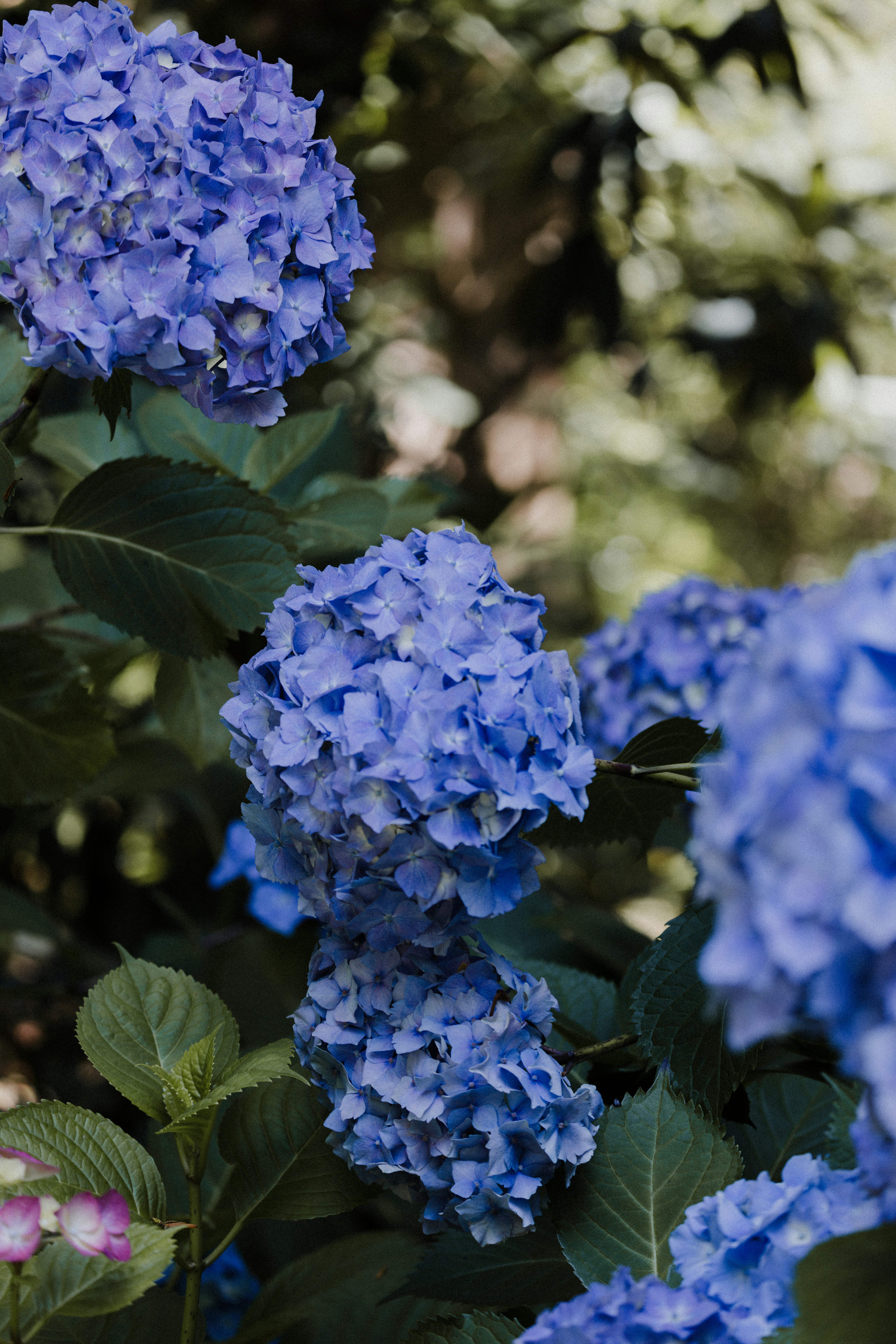 Photo by anniespratt