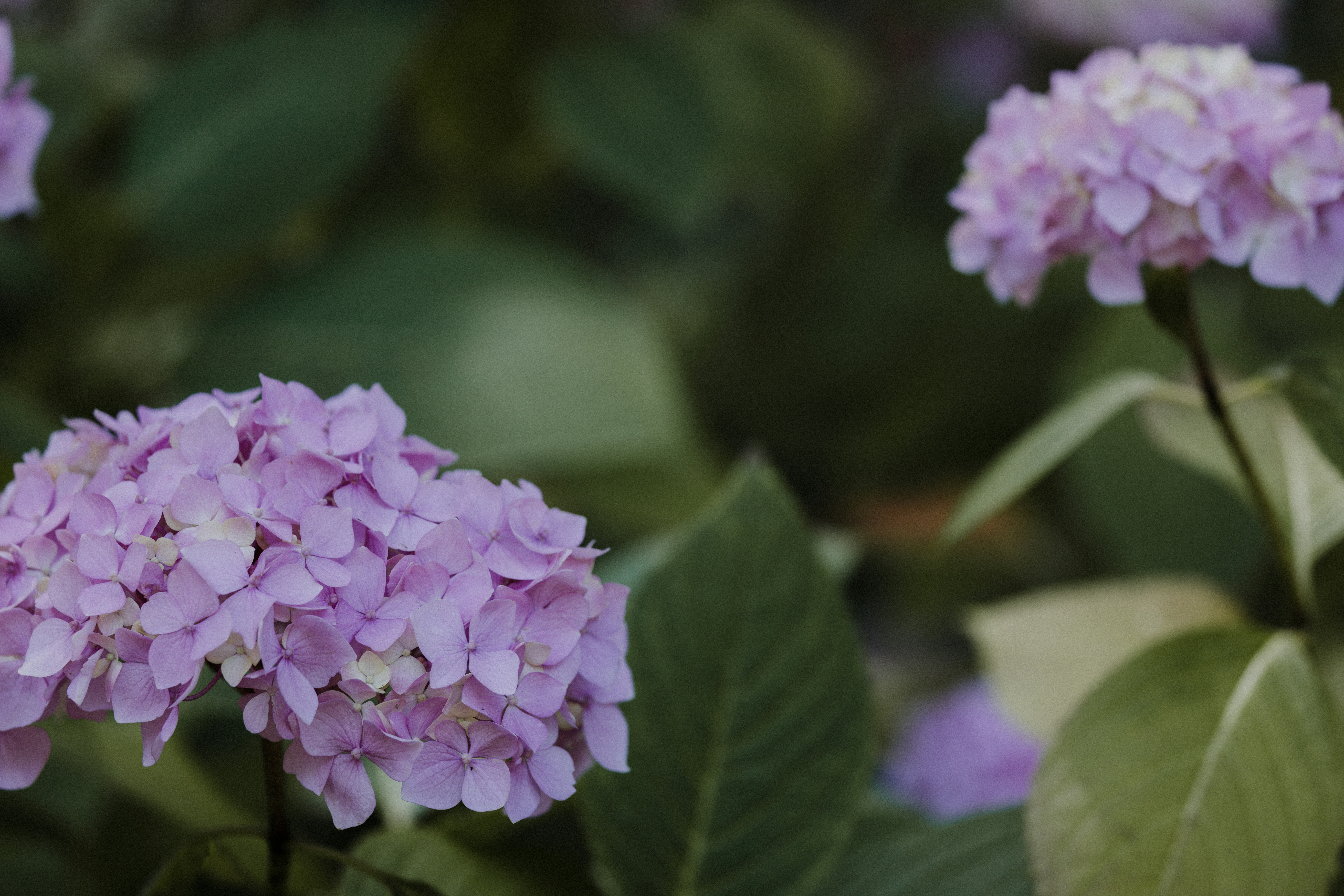 Photo by anniespratt