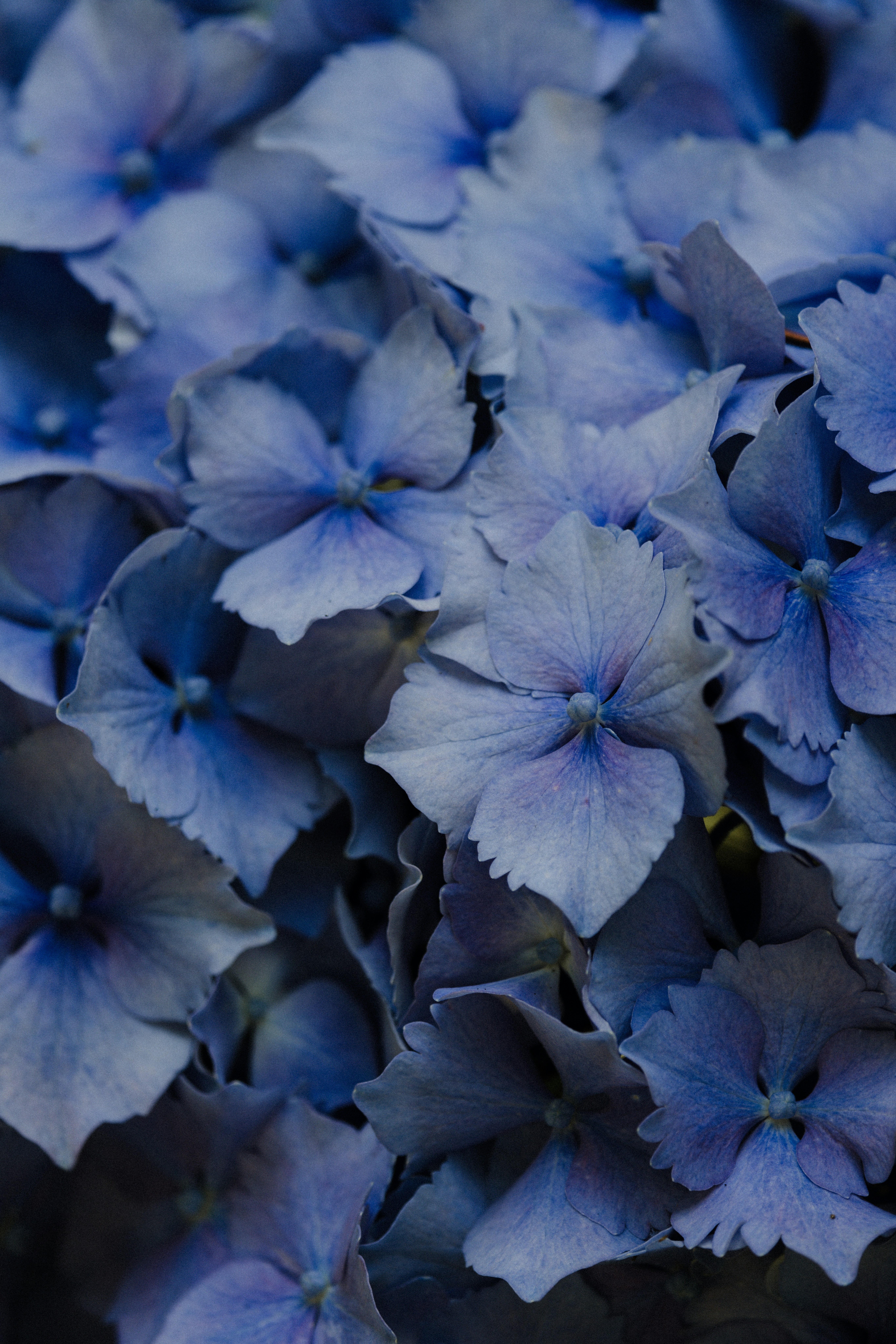 Photo by anniespratt