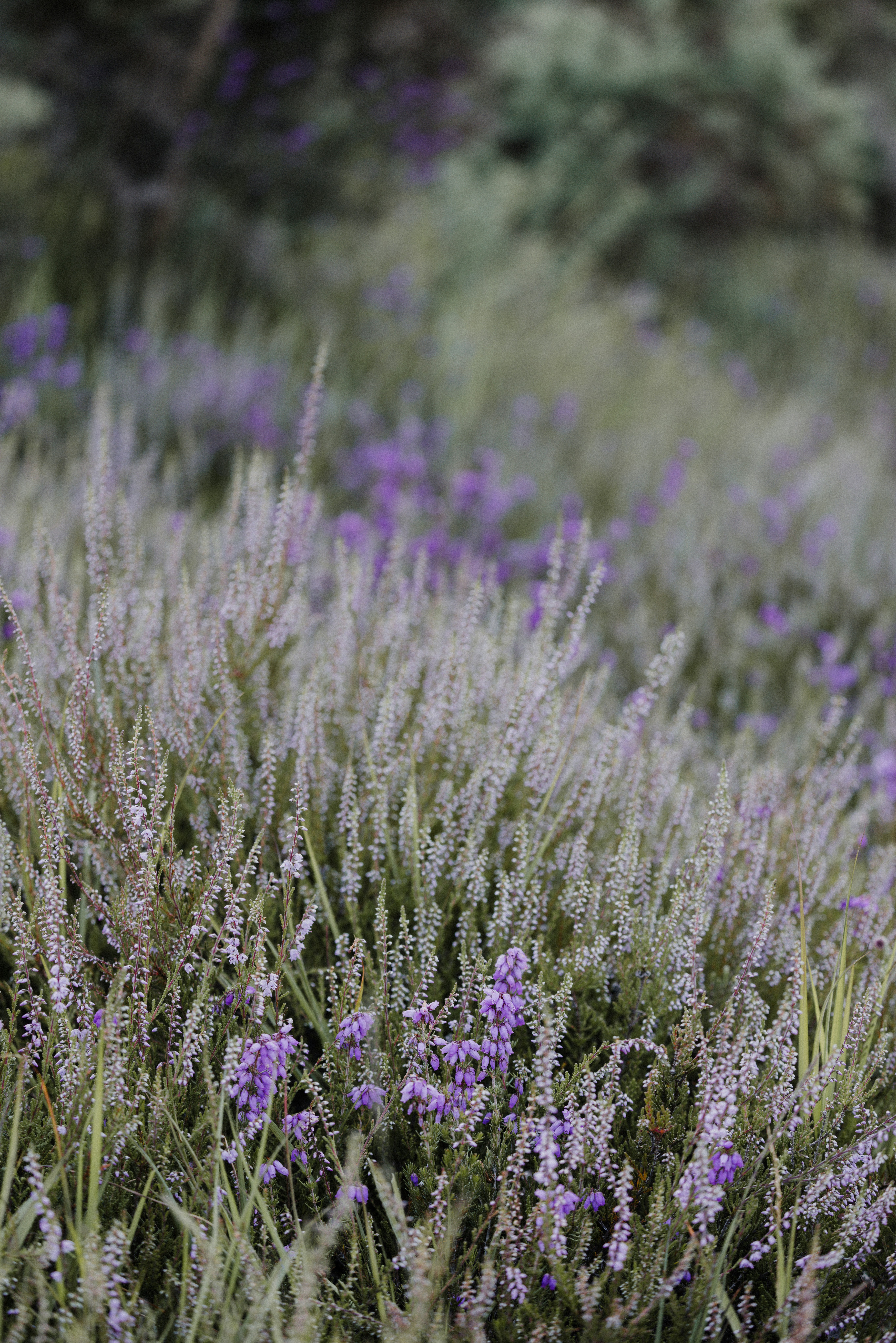 Photo by anniespratt