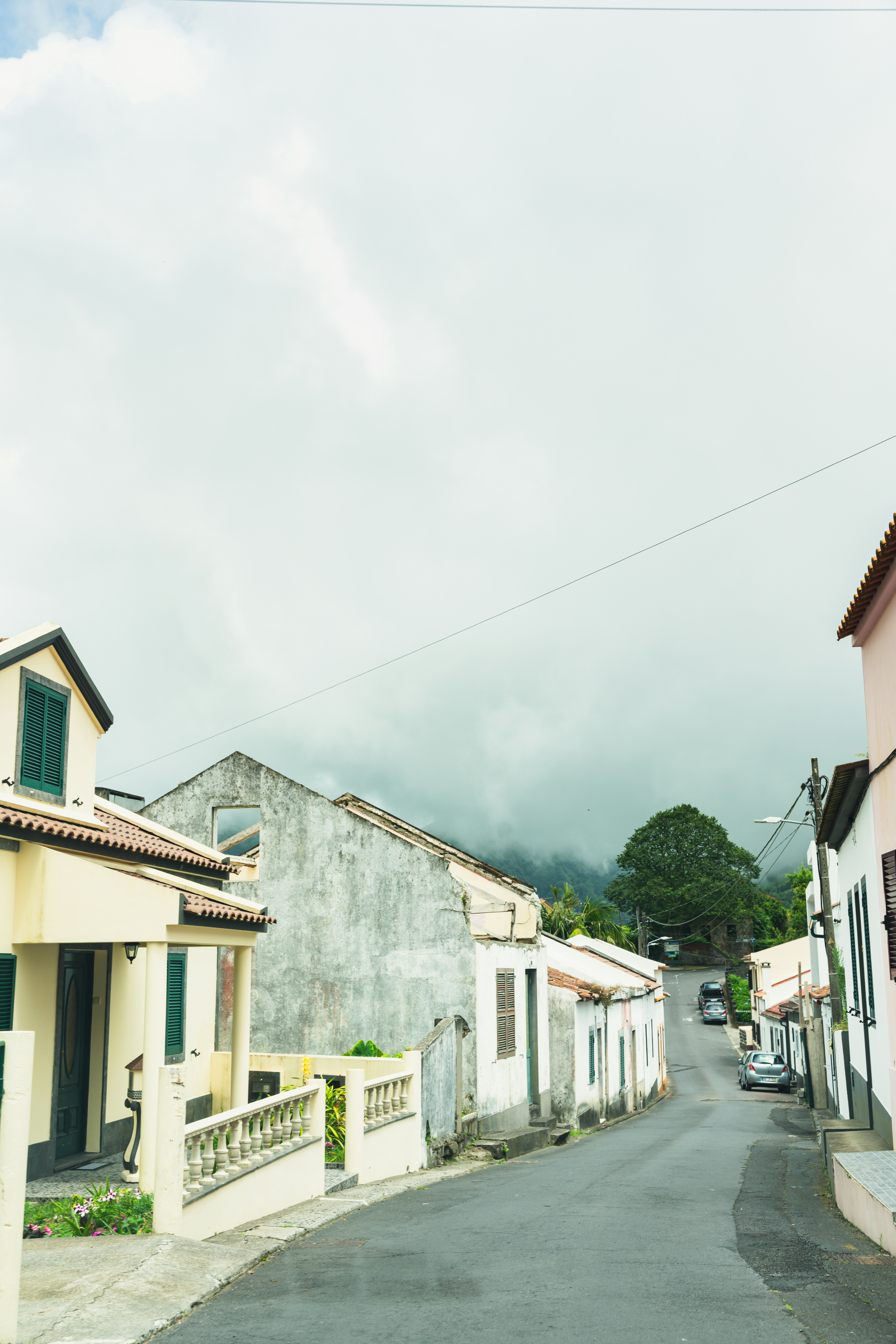 Photo by nellie_adamyan