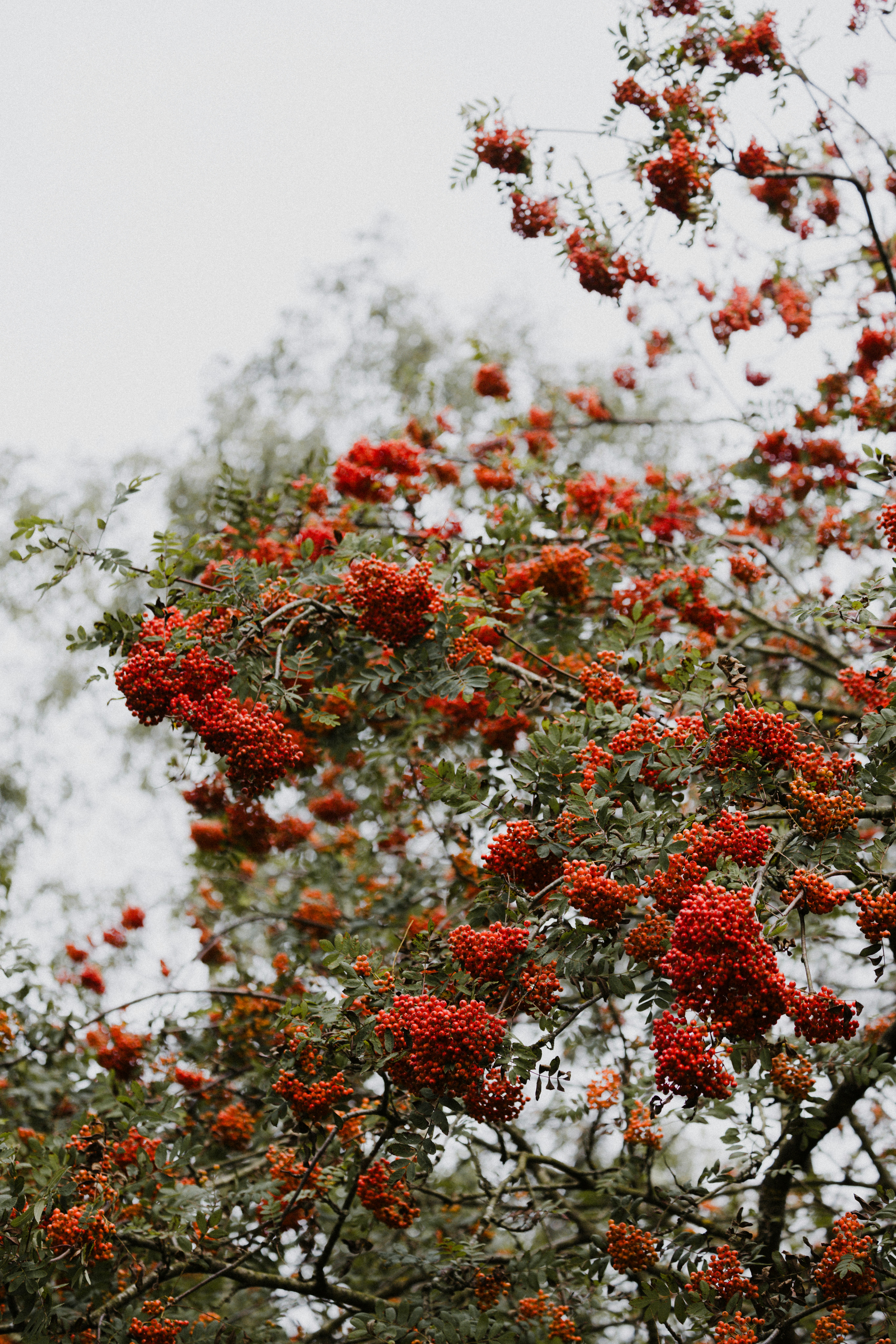 Photo by anniespratt