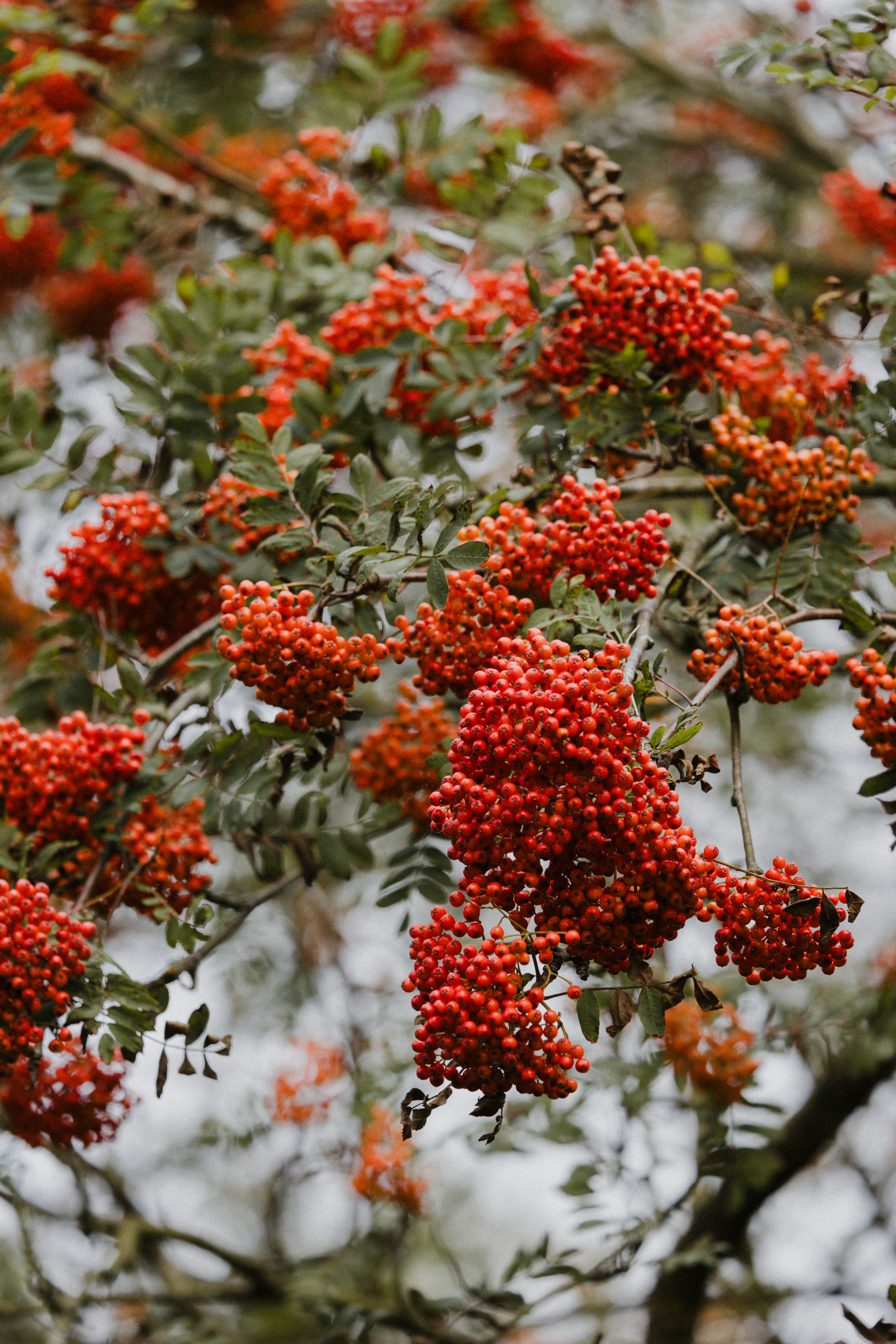 Photo by anniespratt