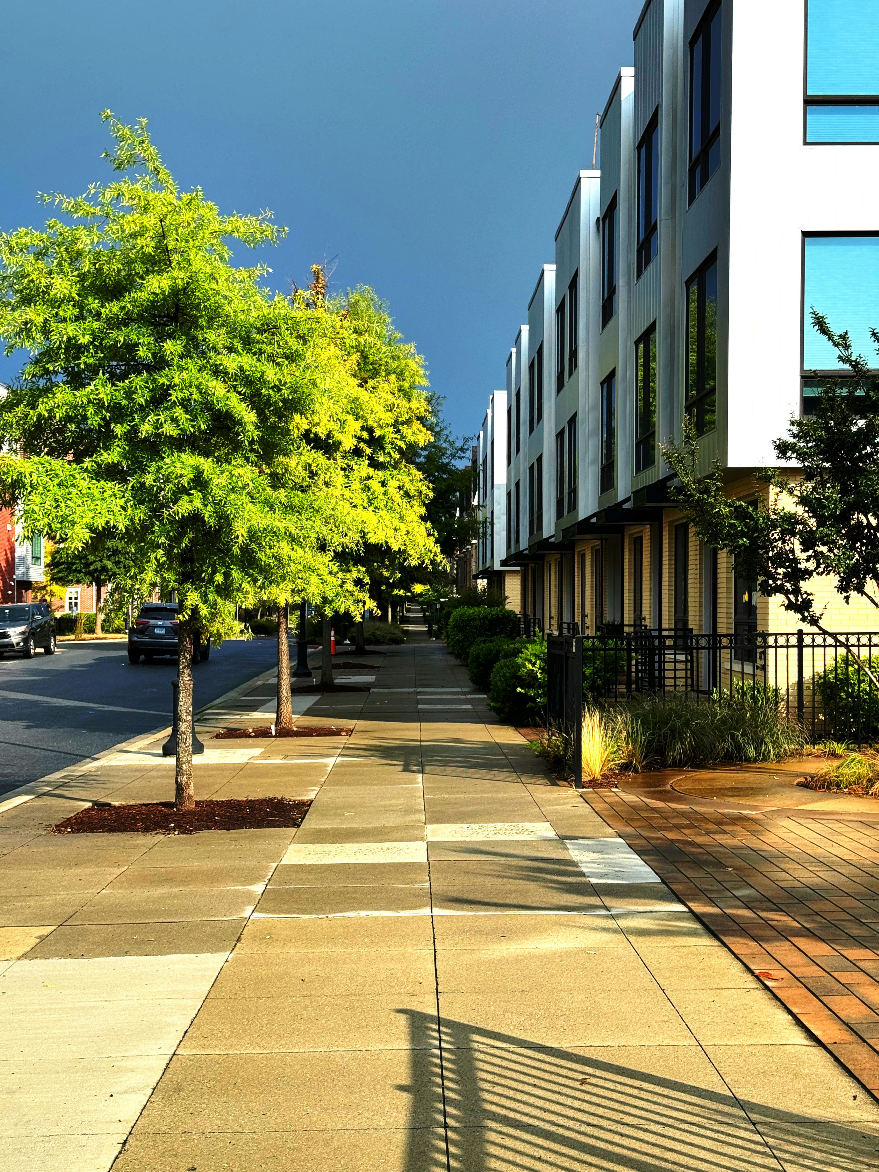 A city street lined with tall buildings and trees