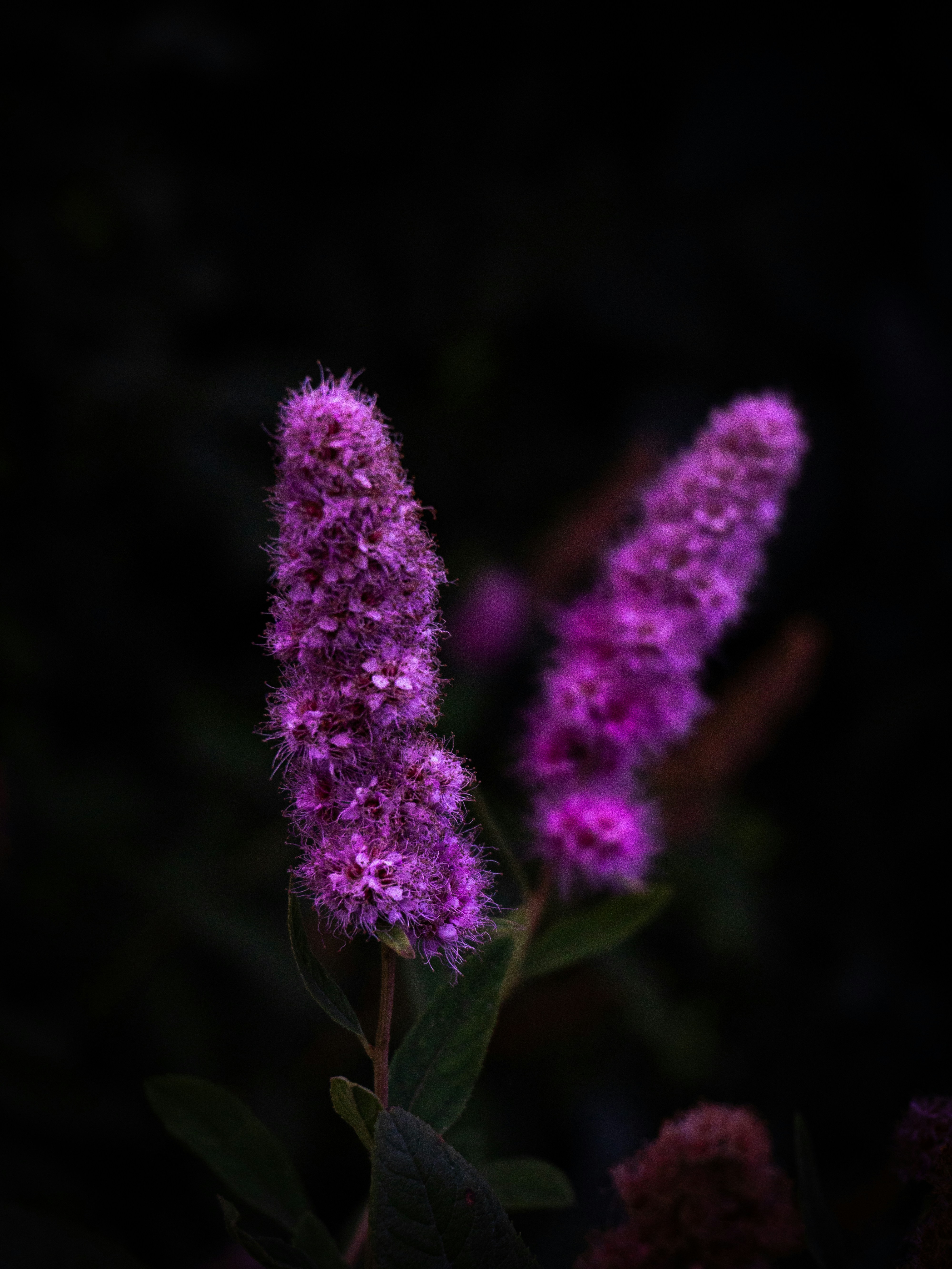 Photo by ooomatti